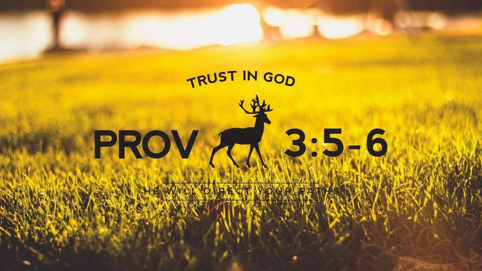 1920x1080 Download 1920x1080 HD Biblical Proverbs 3:5 6 Wallpaper