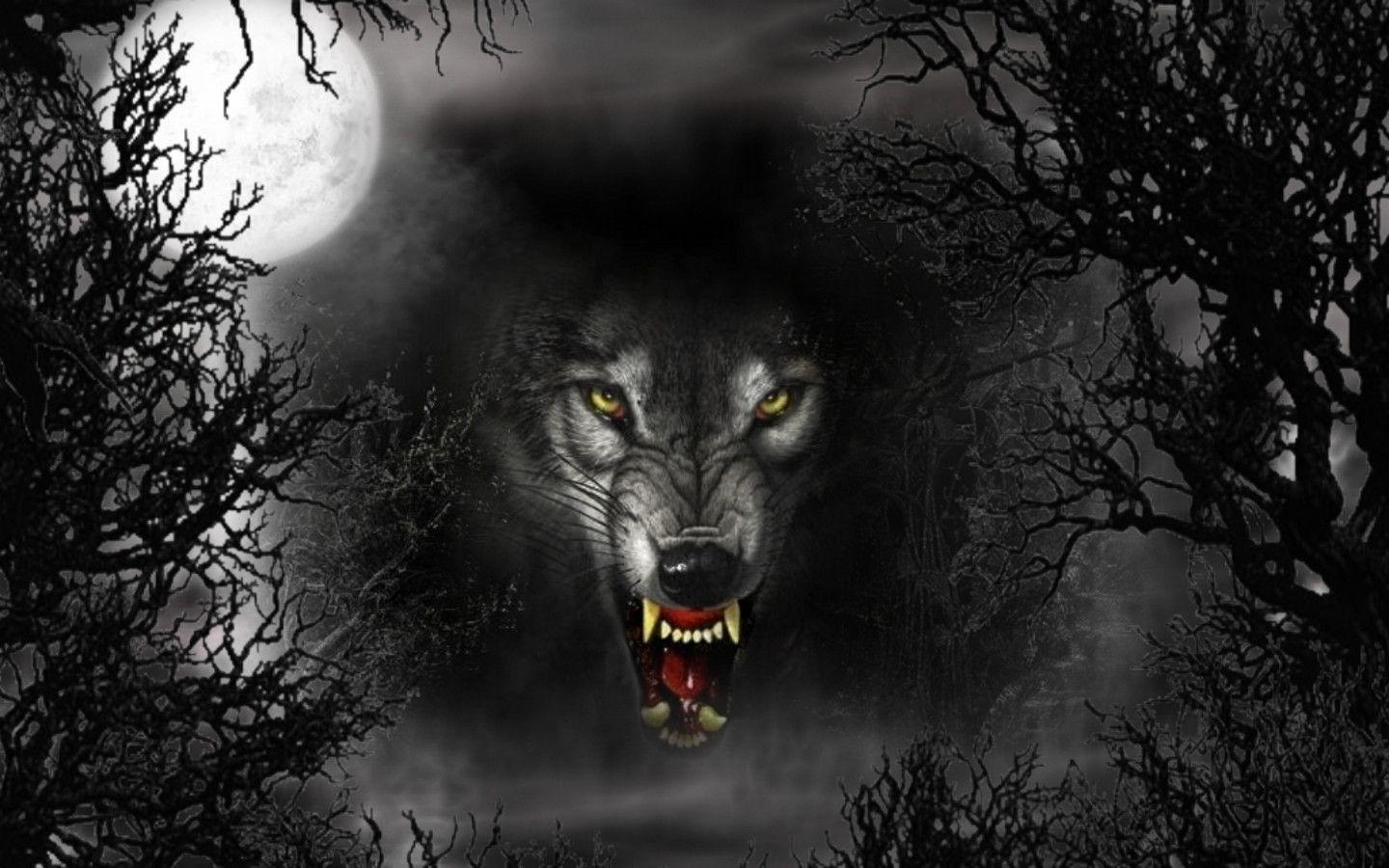 1440x900 Black Wolf Wallpaper For Desktop Wallpaper