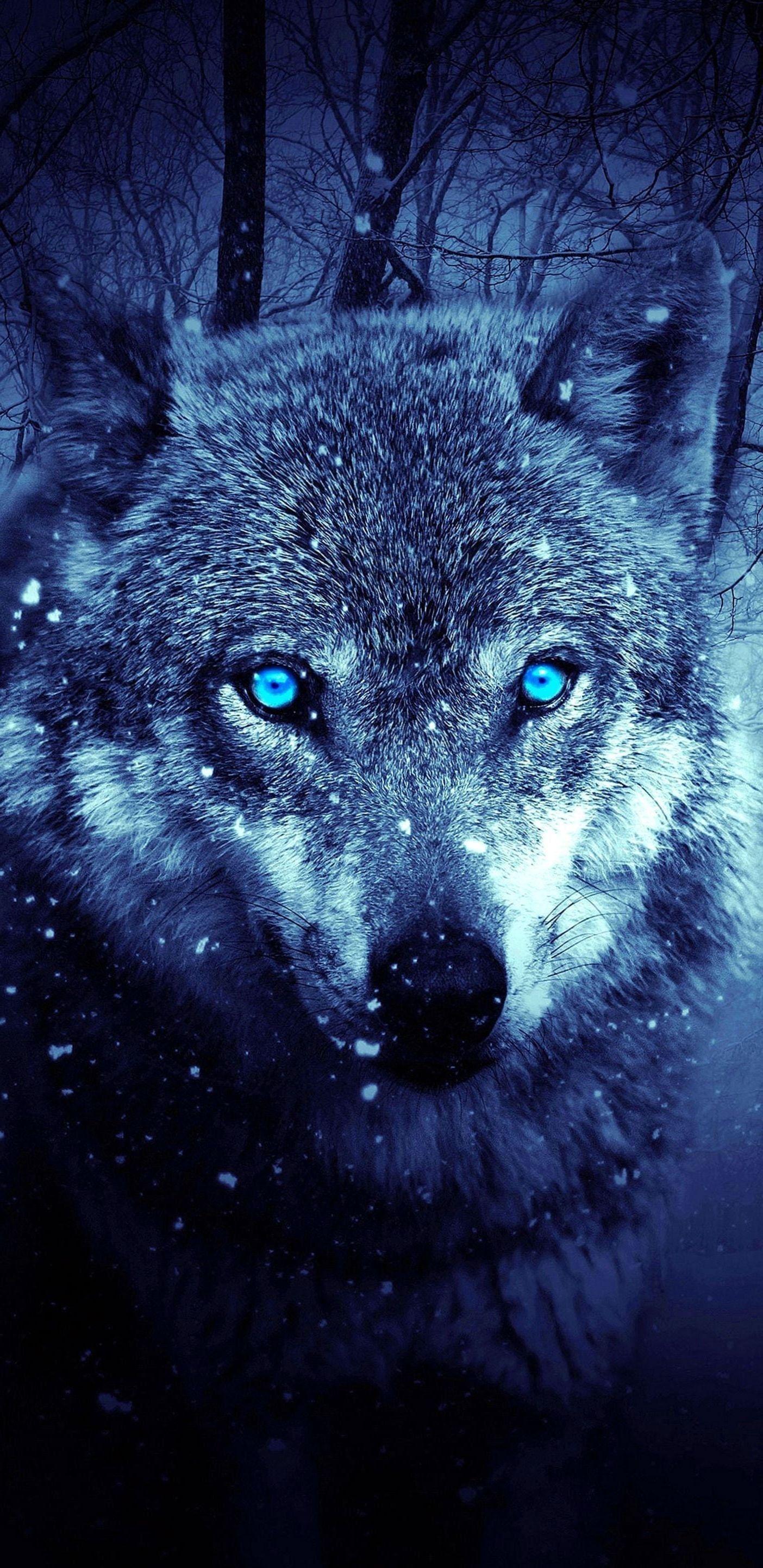 1404x2887 Note 8 Wolf Wallpaper Wallpaper.Pro