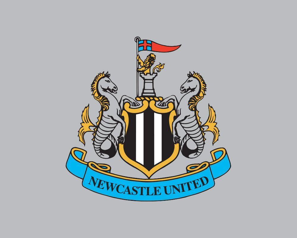 1000x800 Newcastle United FC Logo 3D « Logos and symbols