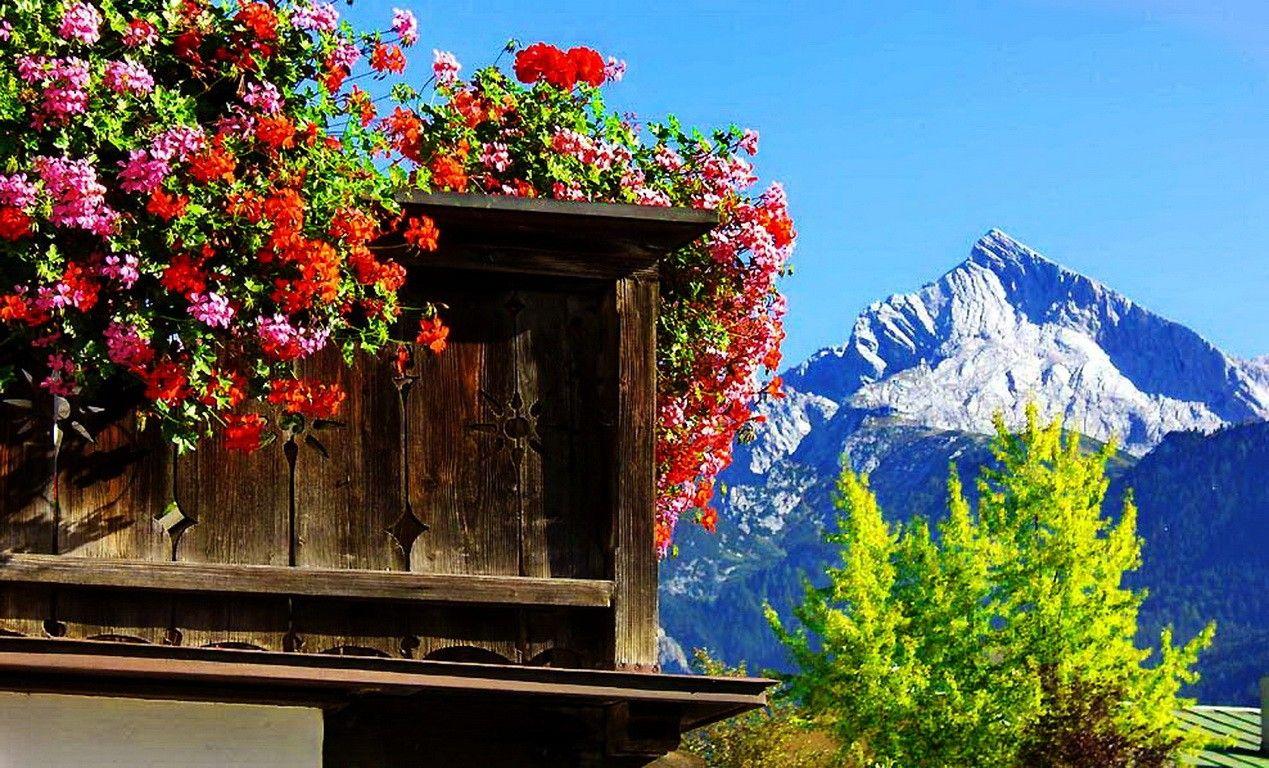 1269x768 Mountains: Cottage Greenery Europe Wooden Nature Summer Mountain