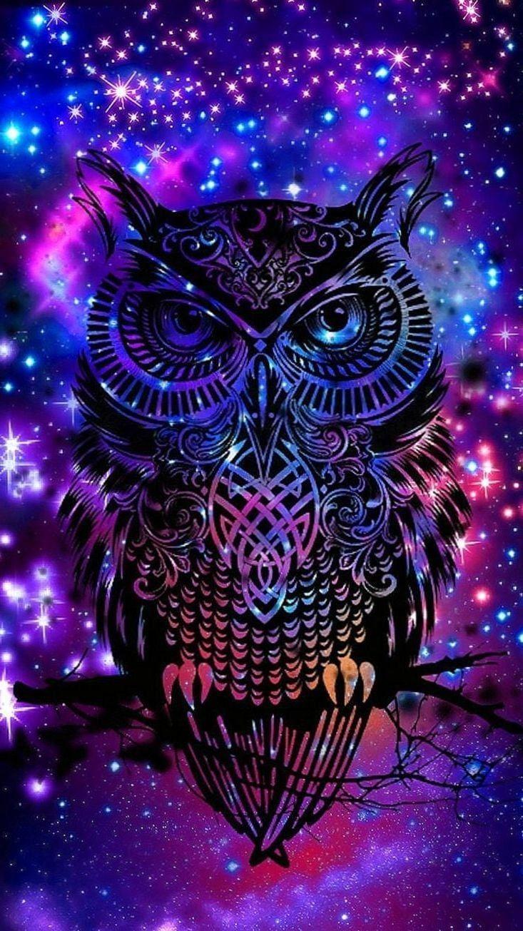 733x1305 Wolf Mandala Wallpaper Wallpaper.Pro