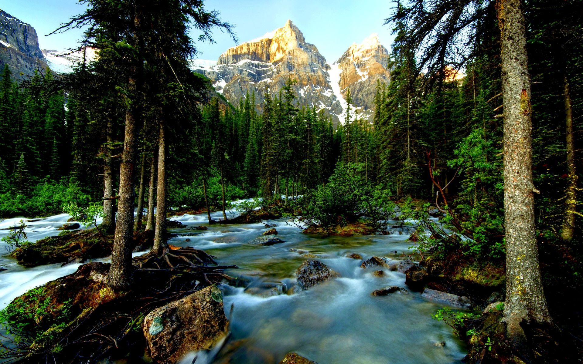 1920x1200 Canada Landscape HD 30549 1920x1200 px