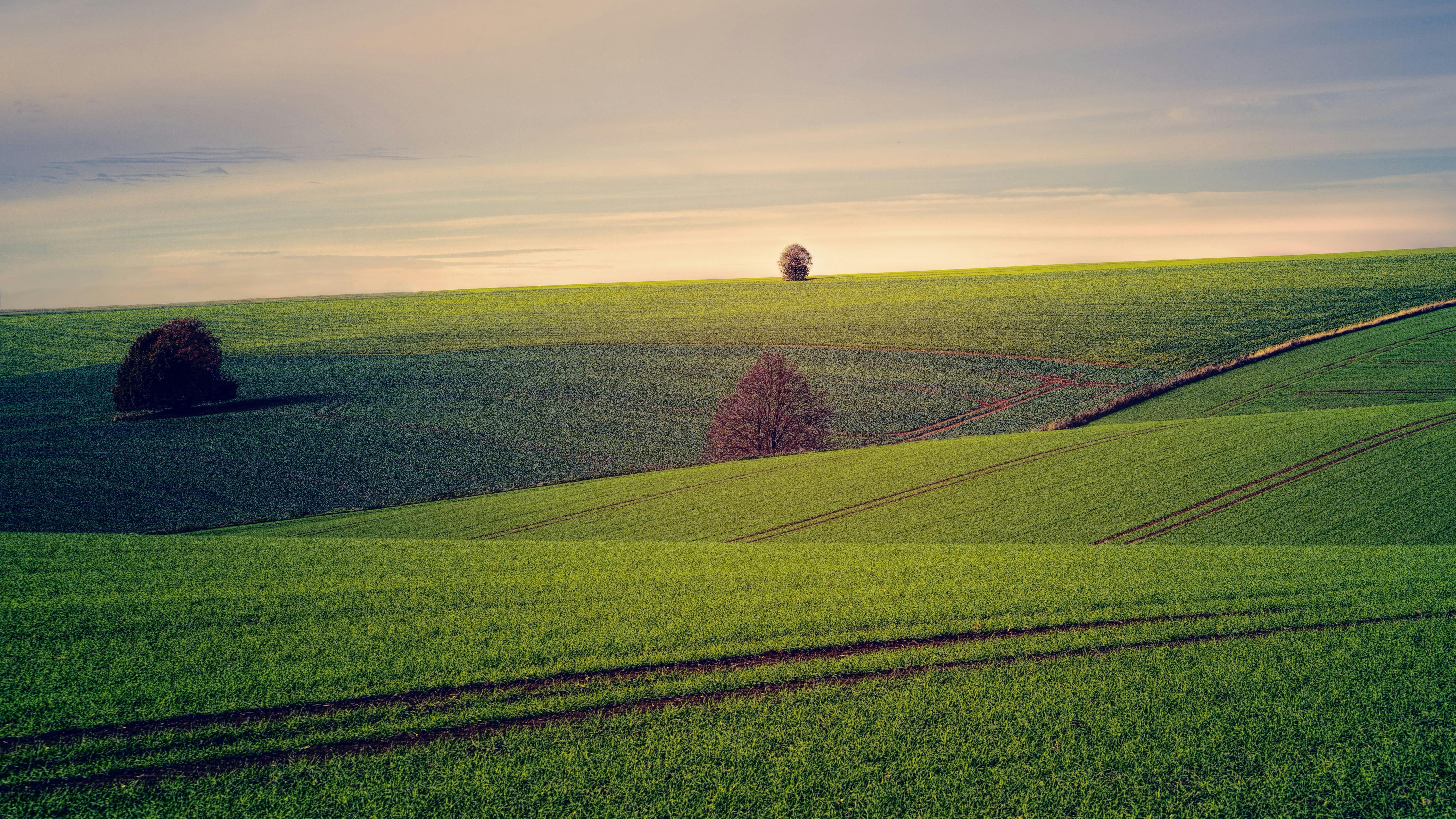 6000x3375 Pastoral Photo, Download The BEST Free Pastoral & HD Image