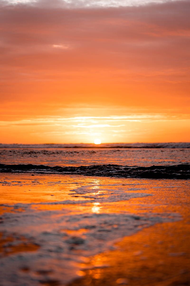 800x1200 Ocean, water, horizon, beach, sunset, sun, HD phone wallpaper