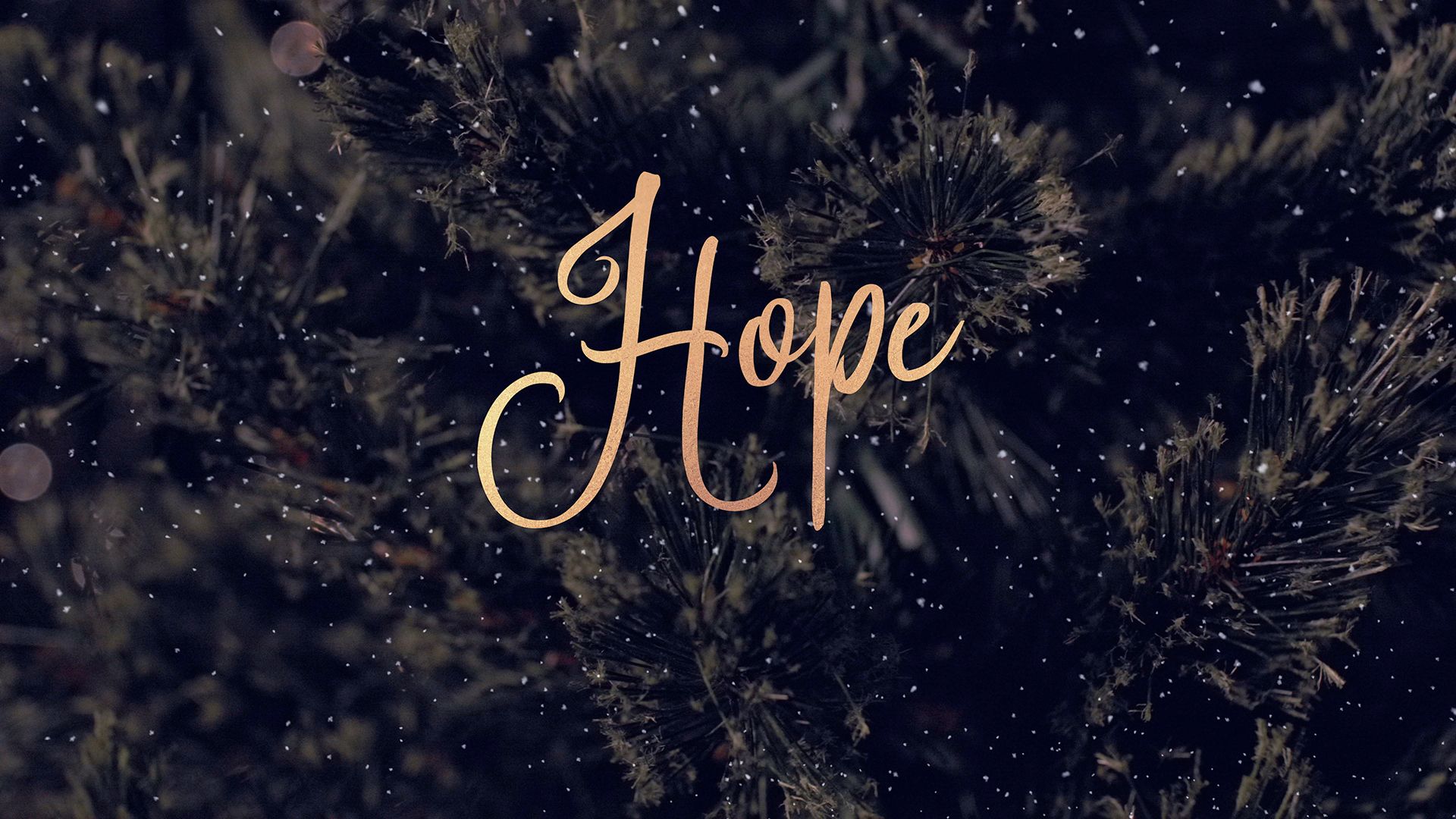Christmas Hope Wallpapers - Top Free Christmas Hope Backgrounds ...