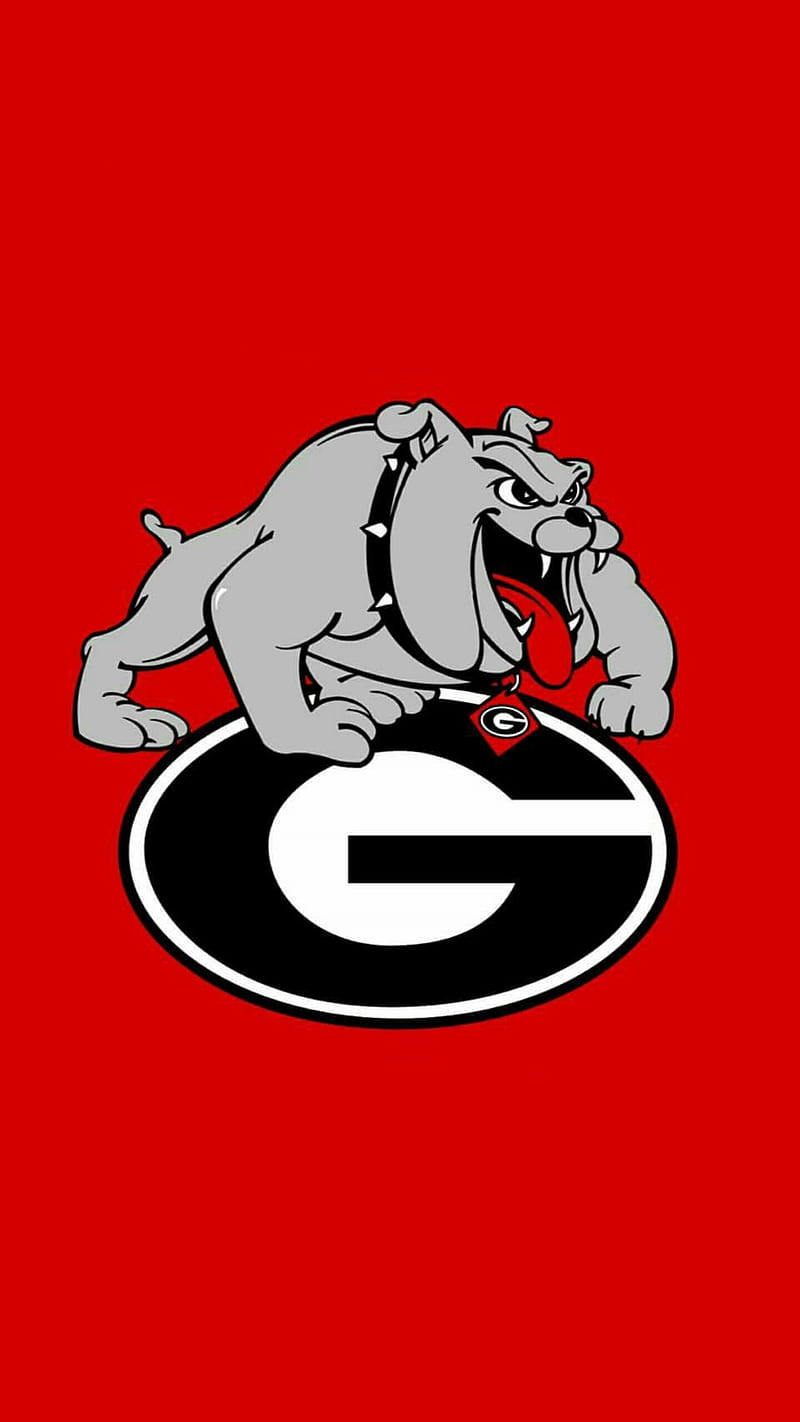 800x1422 UGA, georgia, bulldogs, football, teams, HD phone wallpaper