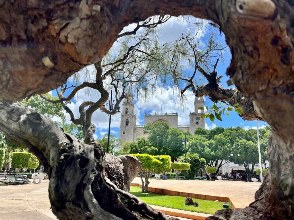 Merida Mexico Wallpapers - Top Free Merida Mexico Backgrounds ...