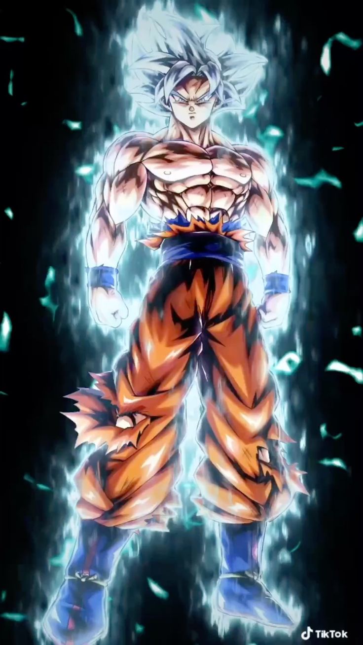 736x1308 Songoku