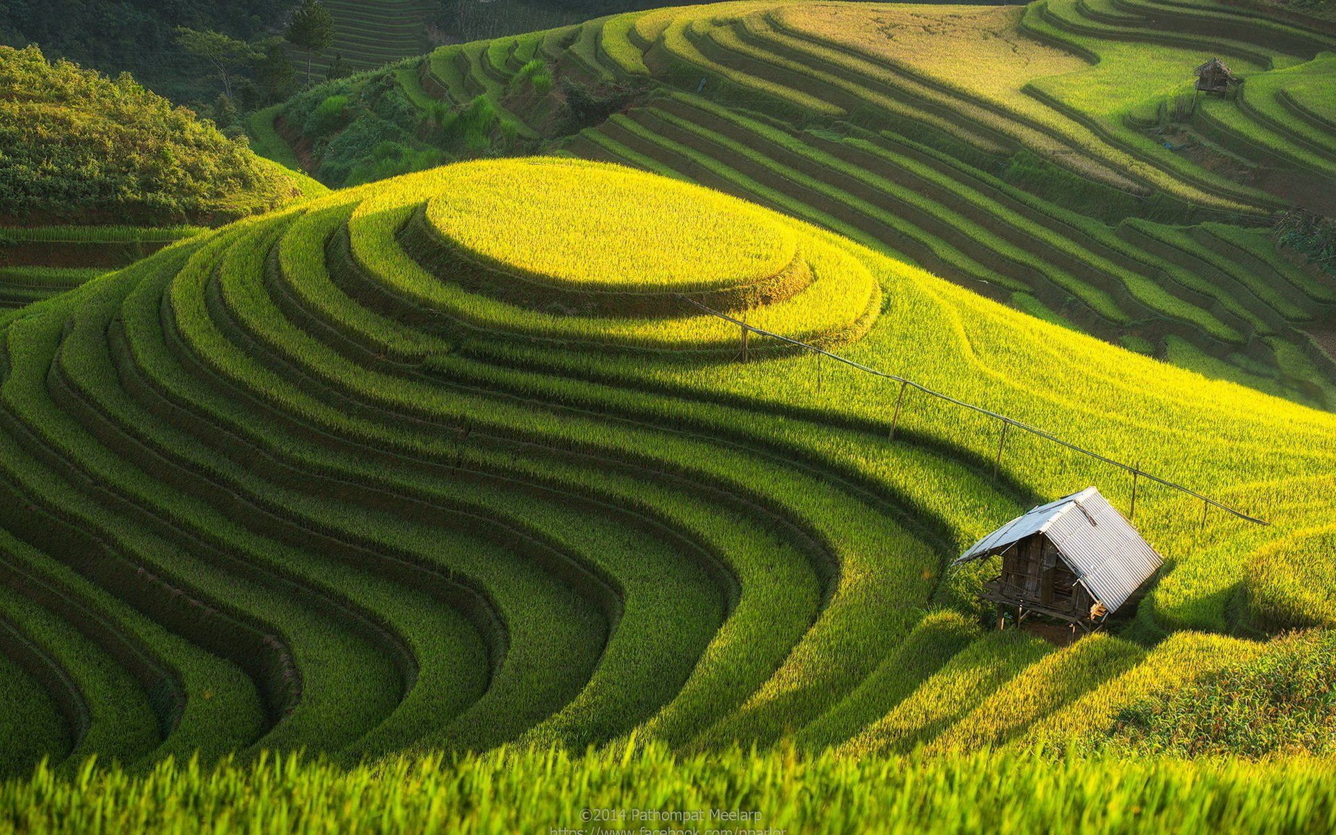 1920x1200 Stunning HD Wallpaper Of Man Made Rice Terraces