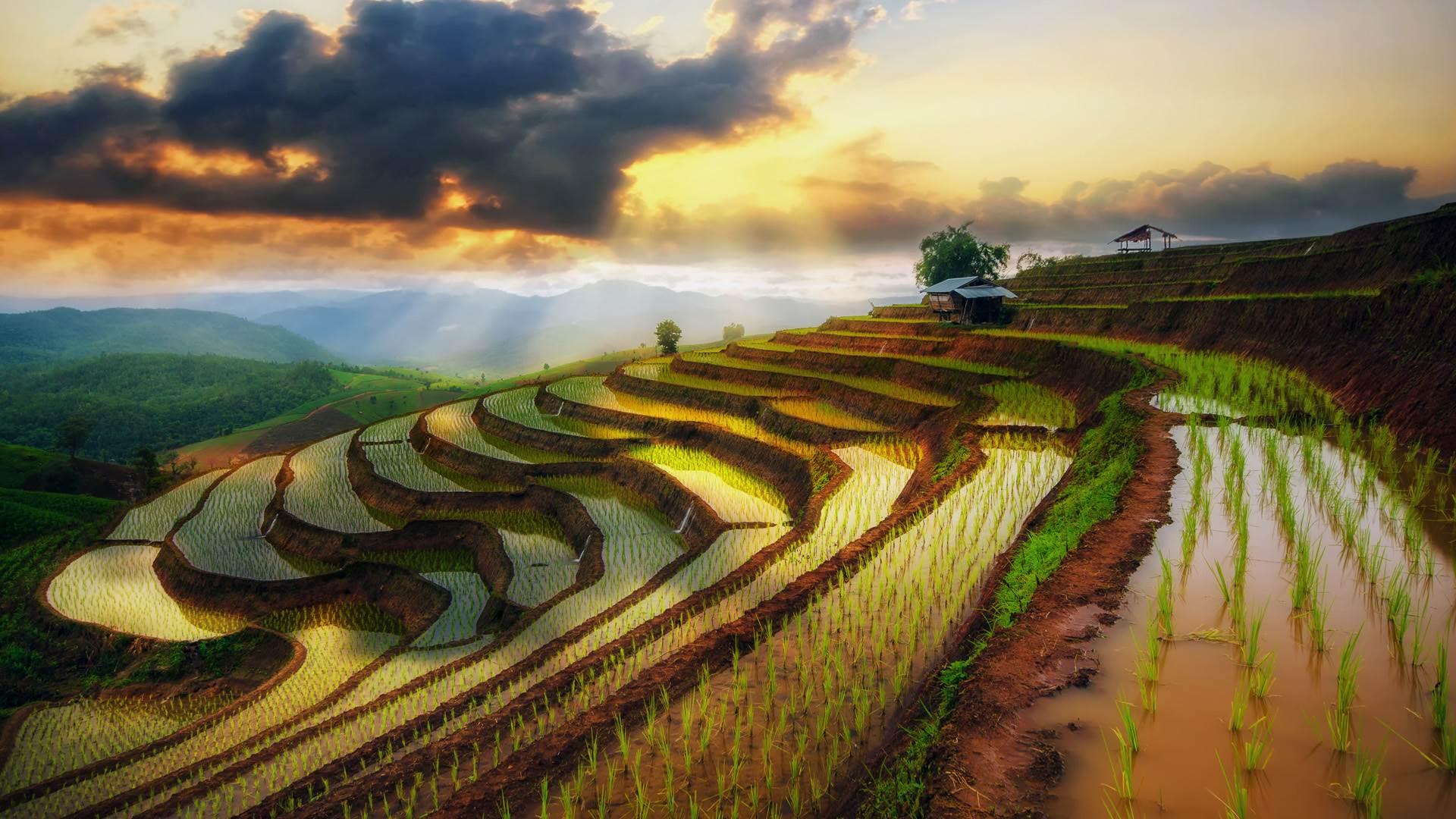 1920x1080 Looking for the original source of this image of rice terraces. It's a windows 10 spotlight image if that helps, but I can't seem to find the source or location that it