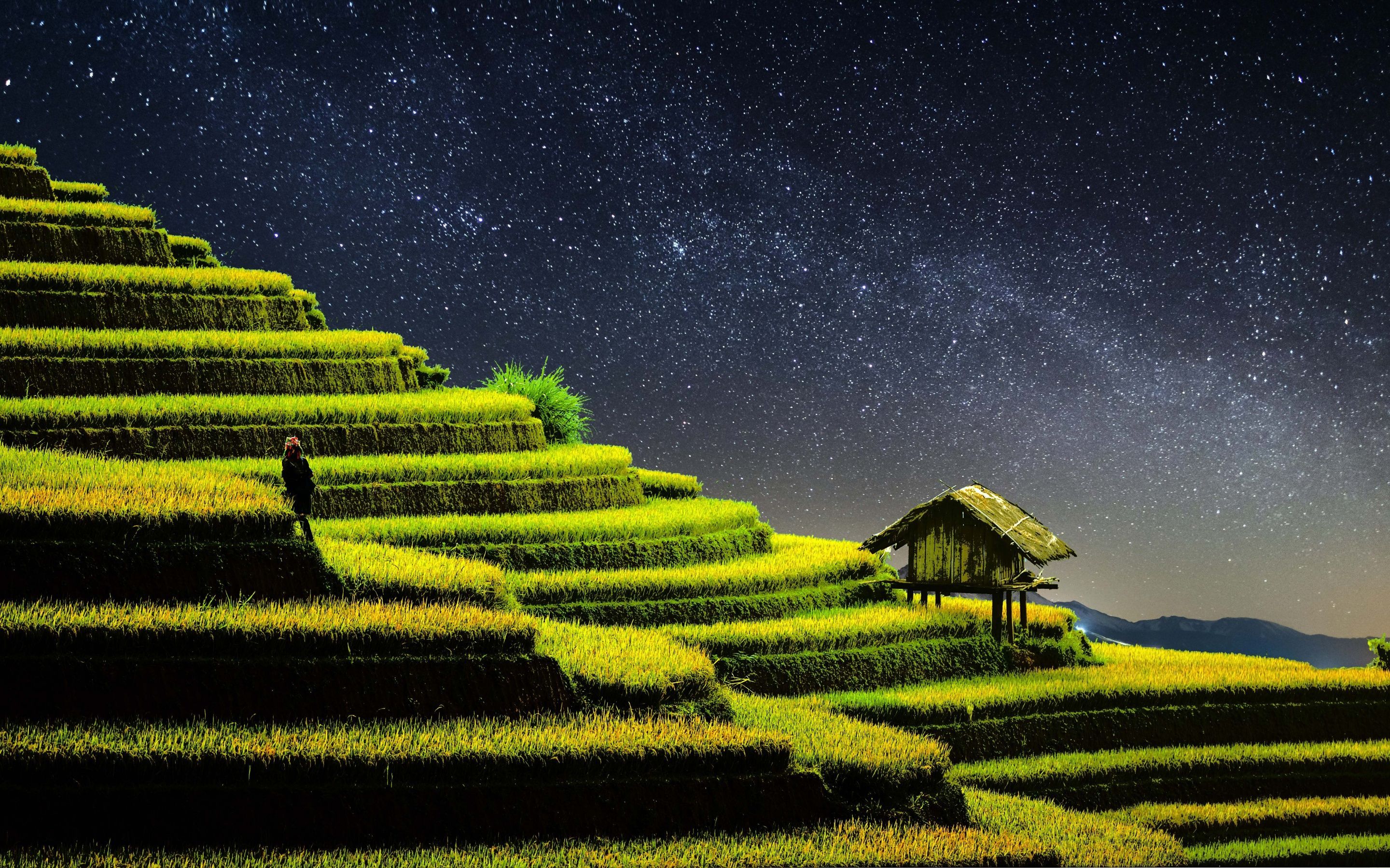 2880x1800 Terrace farming Wallpaper 4K, Rice fields, Agriculture