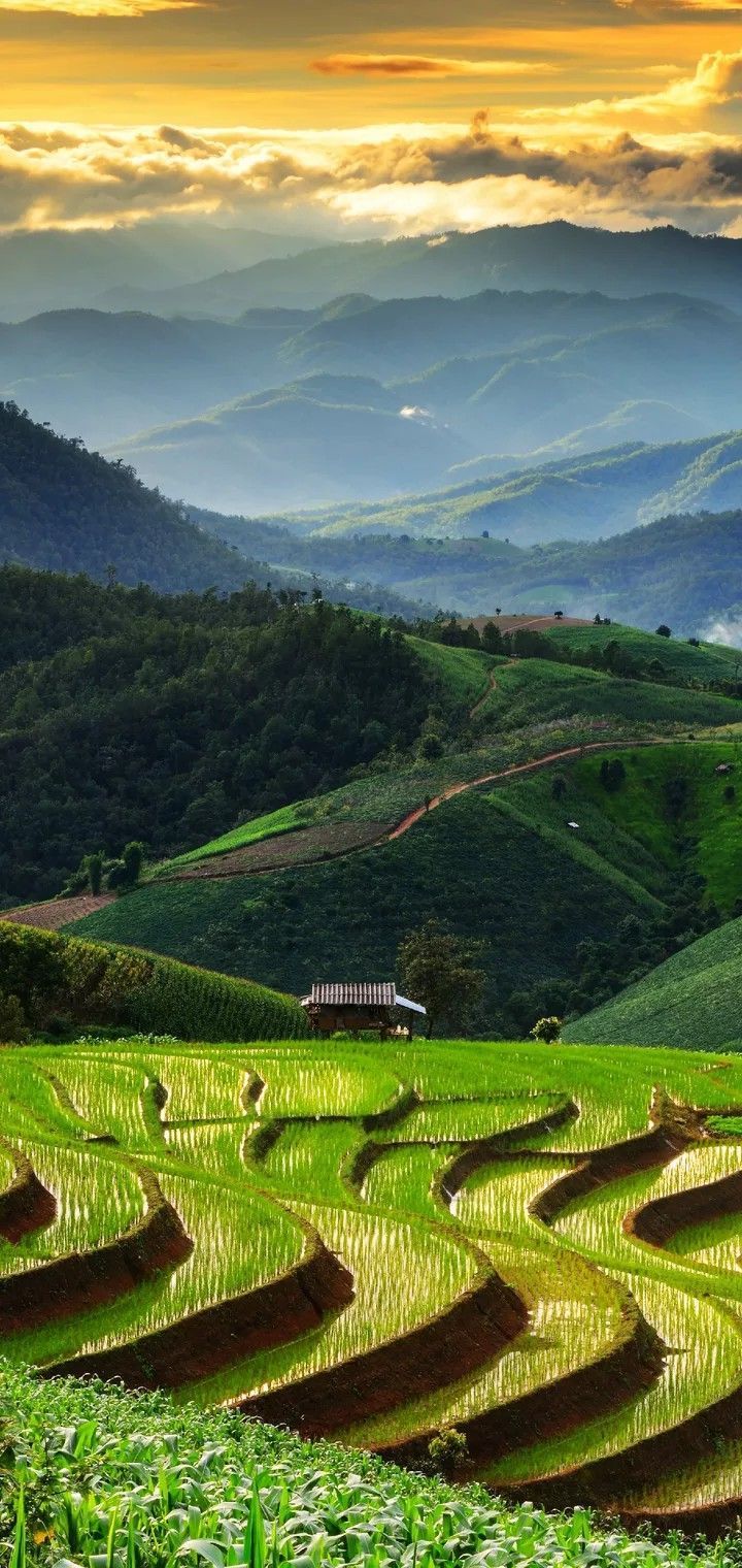 720x1520 TRAVEL. Banaue rice terraces, Aerial views landscape, Rice terraces