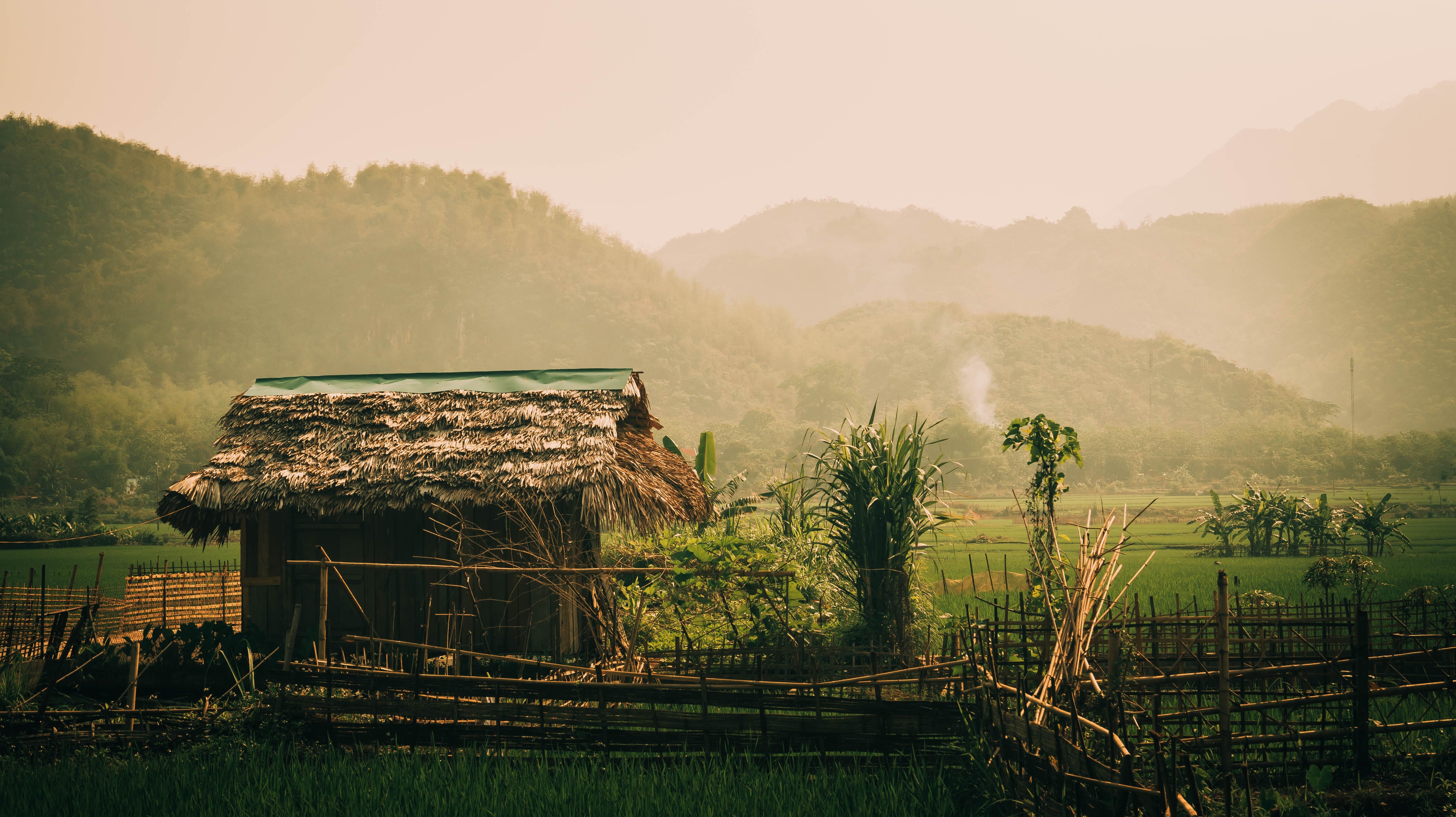 5456x3064 4K Ultra HD Vietnamese Mountain Farm with Rustic Hut and Lush Rice Paddy View
