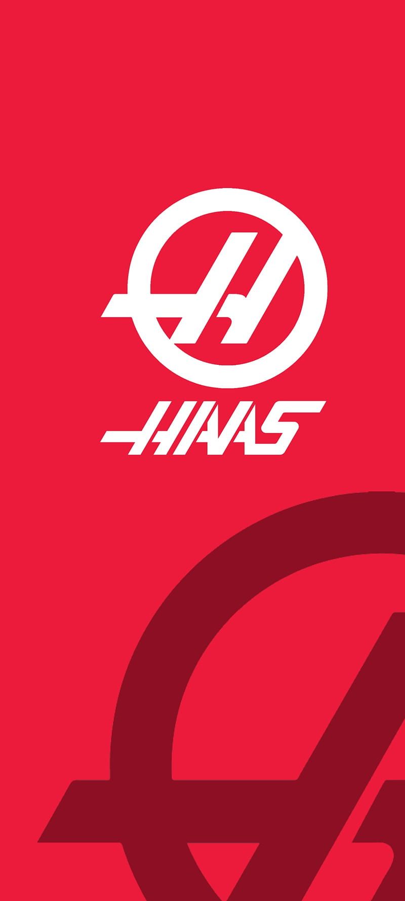 800x1778 Haas F1 team, haas f HD phone wallpaper