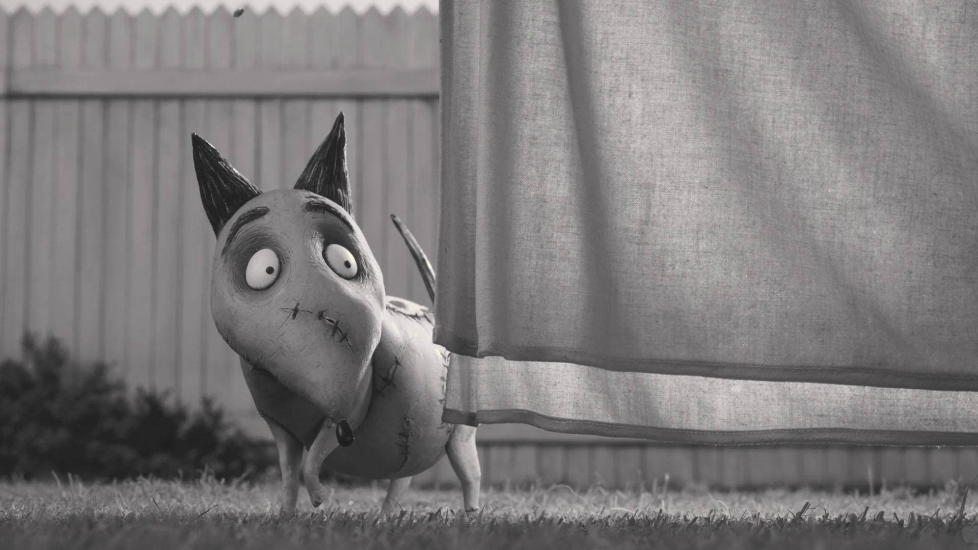 1920x1080 Download Frankenweenie Sparky Behind Laundry Wallpaper