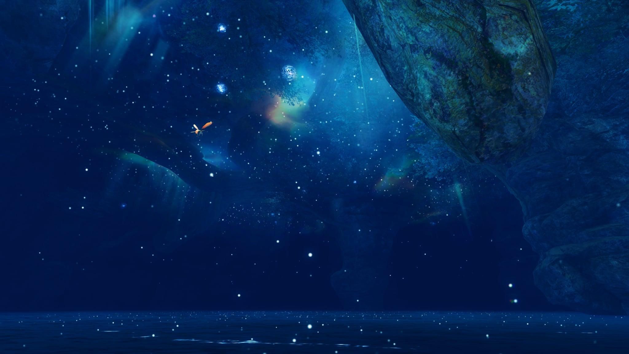2048x1152 Underwater exploration in Shipwreck Strand is incredible