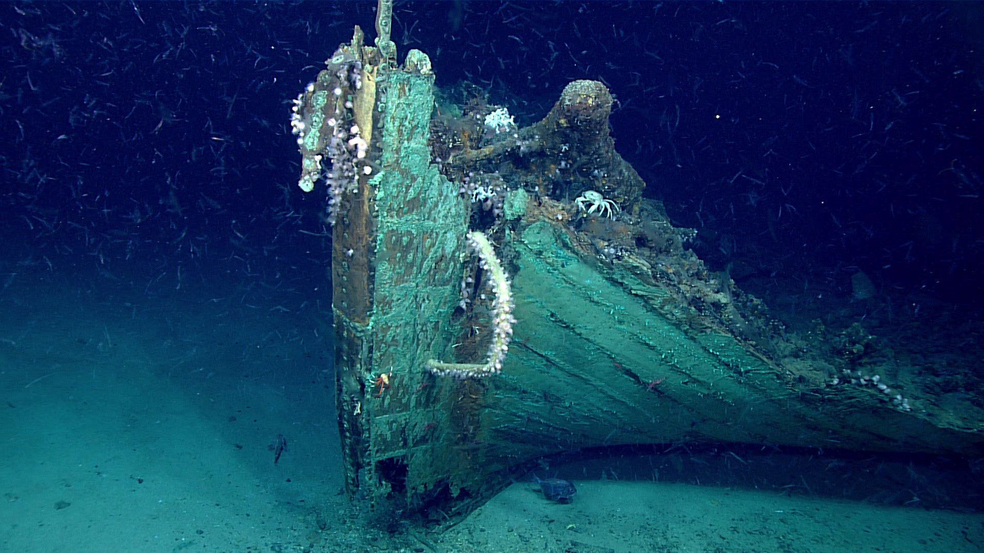 1920x1080 Explorers stumble upon mysterious shipwreck