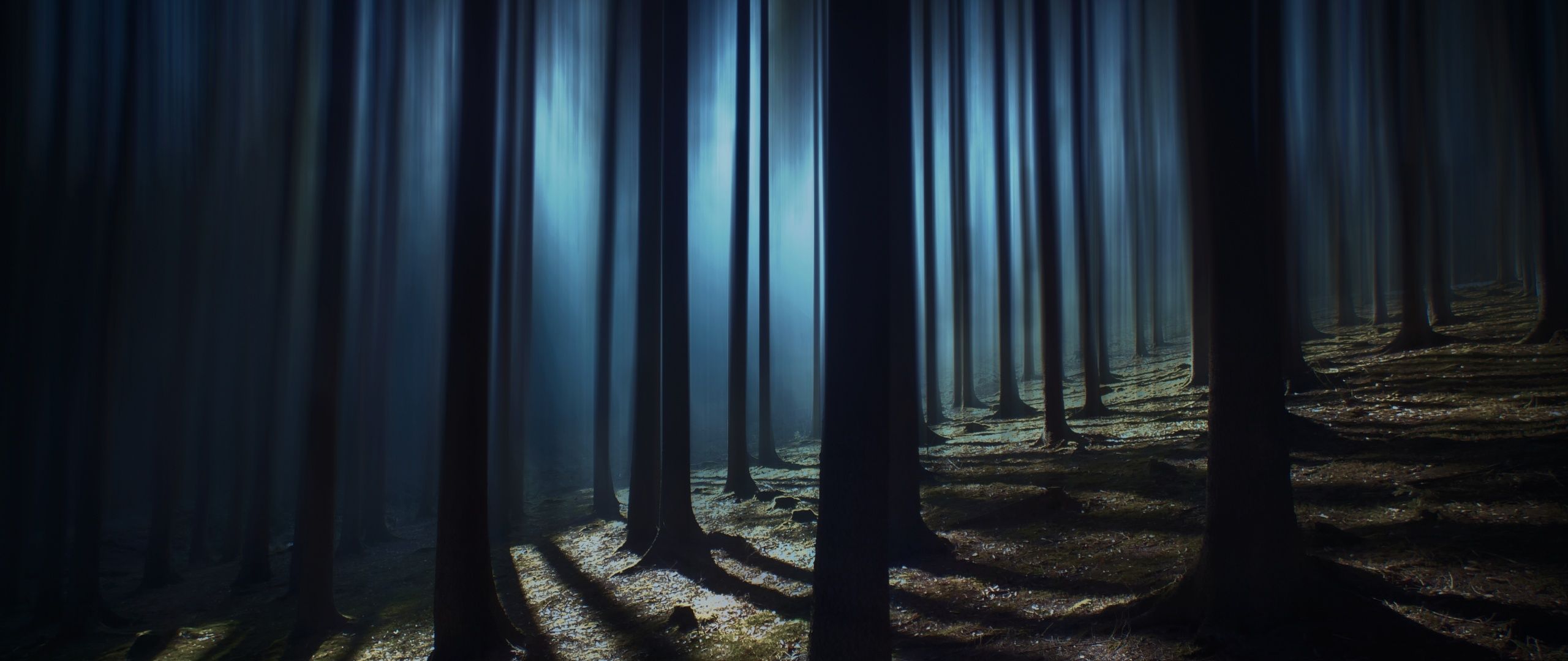 2560x1080 Dark Forest Wallpaper 4K, Woods, Night time, Dark, Shadow