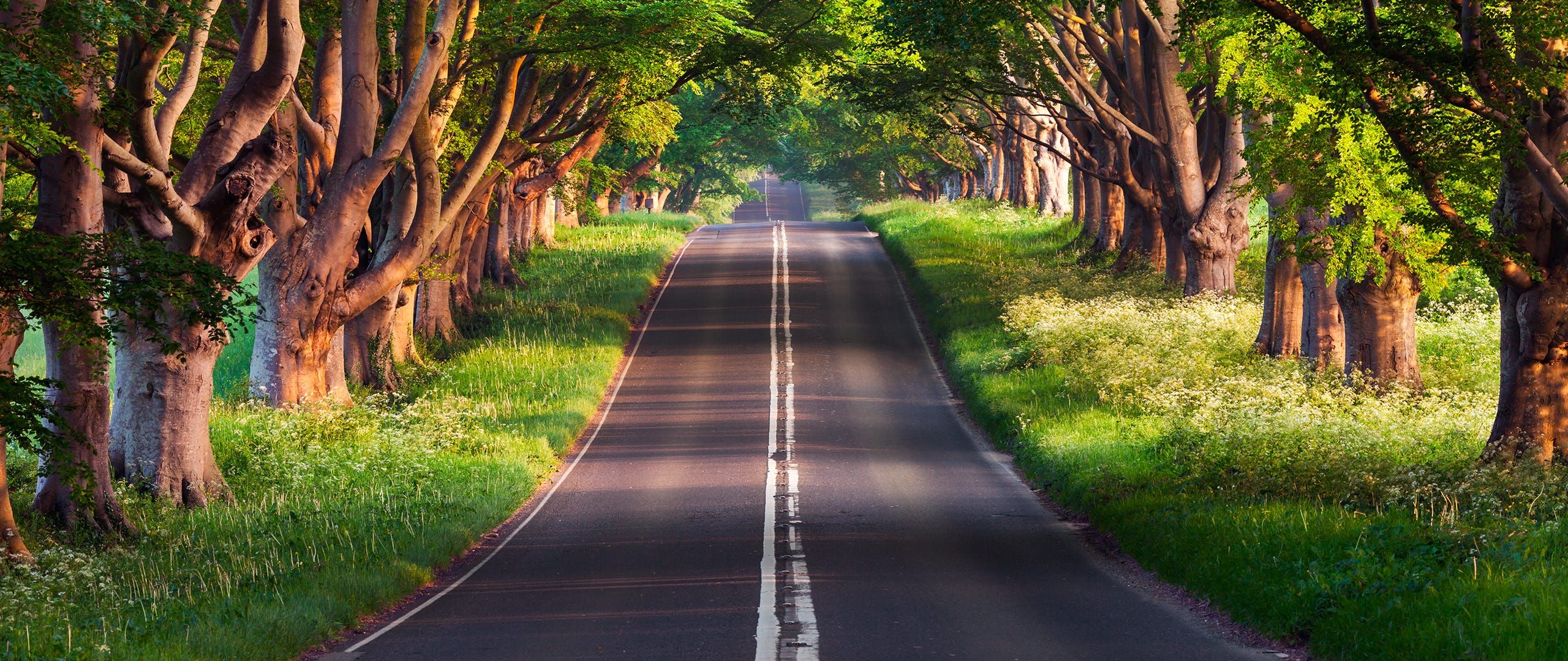 2560x1080 Find The Most Stunning Ultra Wide Monitor Wallpaper. By Hans Lee