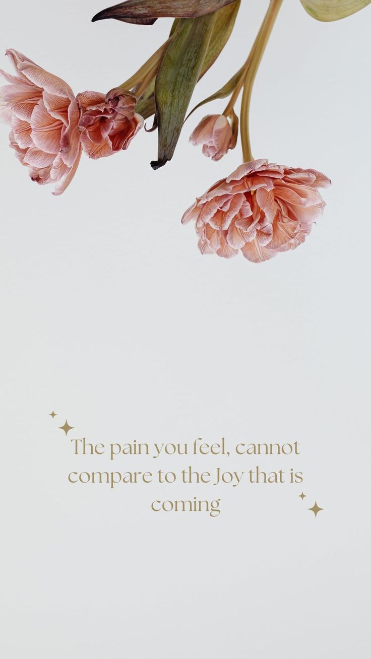 736x1308 ✨ Christian Inspirational Wallpaper Romans 8:18