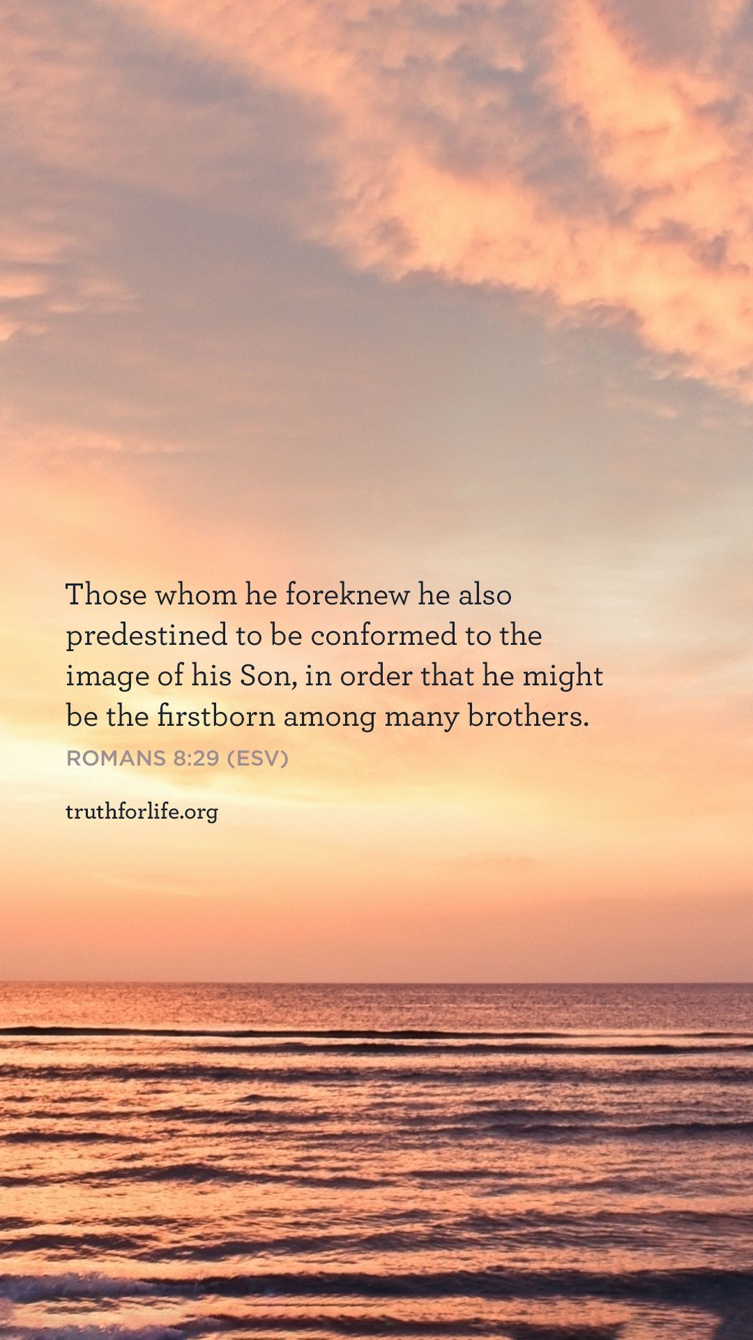 1080x1920 Wallpaper: Predestined