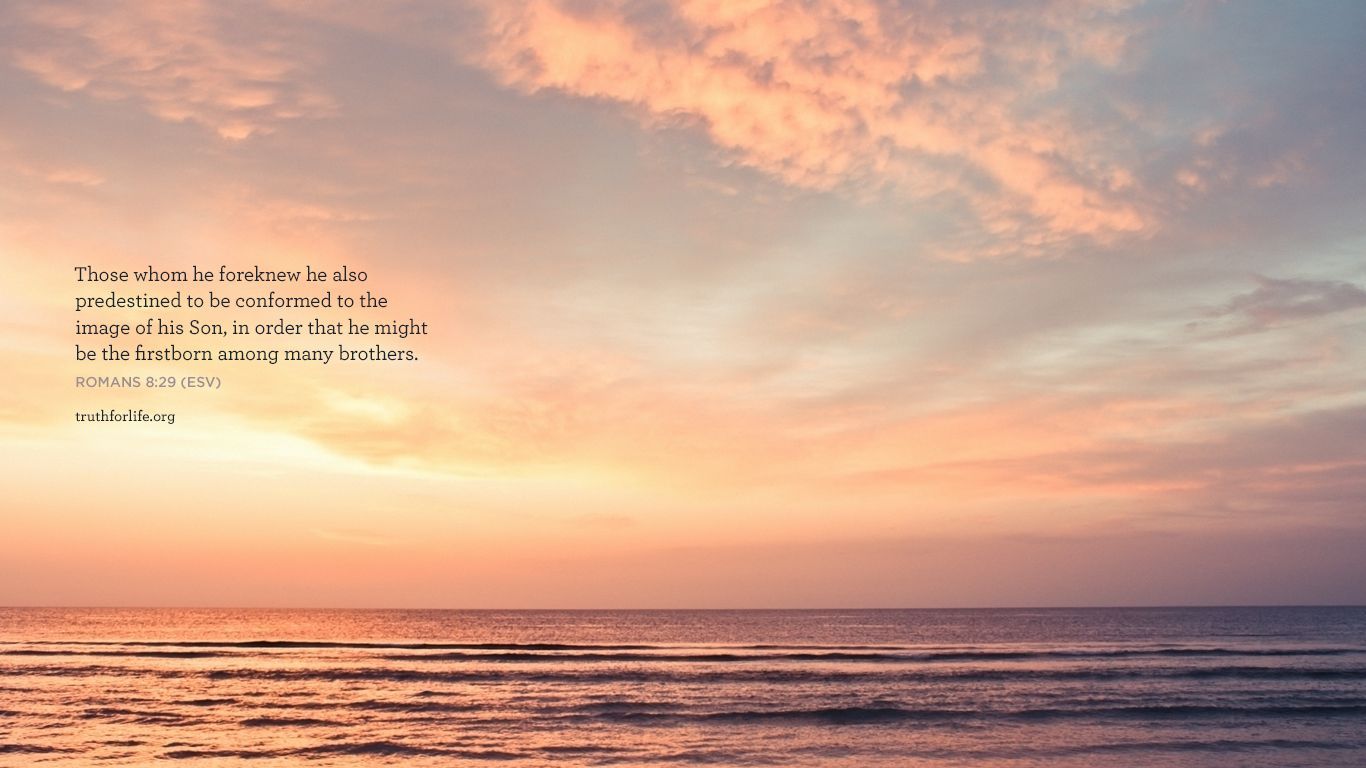 1366x768 Wallpaper: Predestined