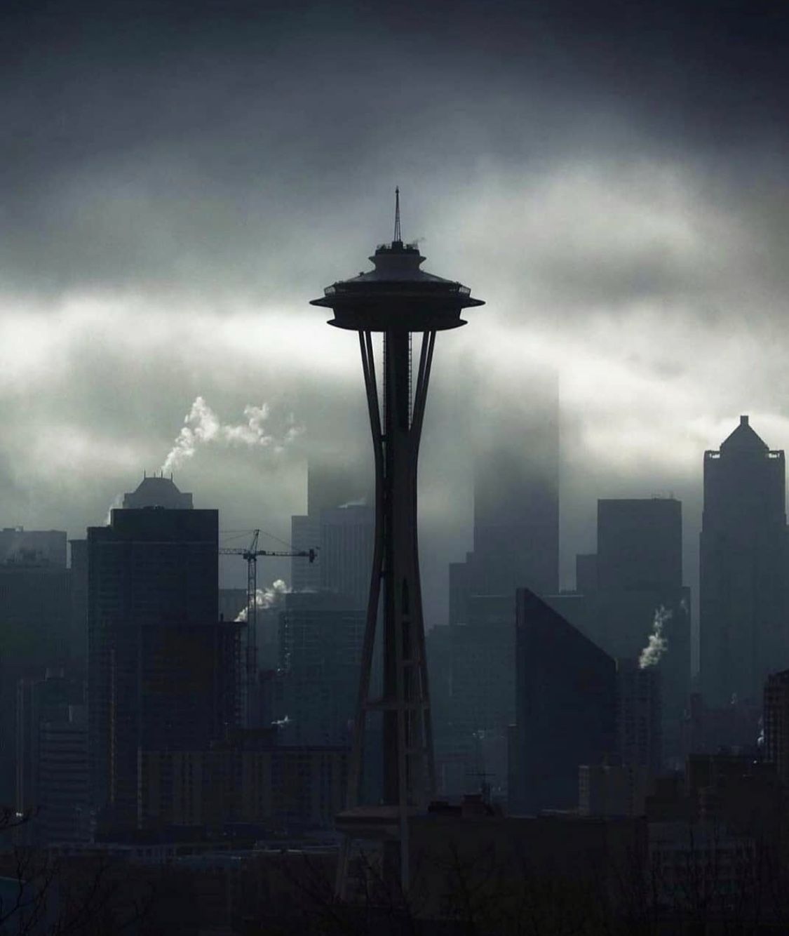 1125x1334 Sleepless In Seattle Wallpaper