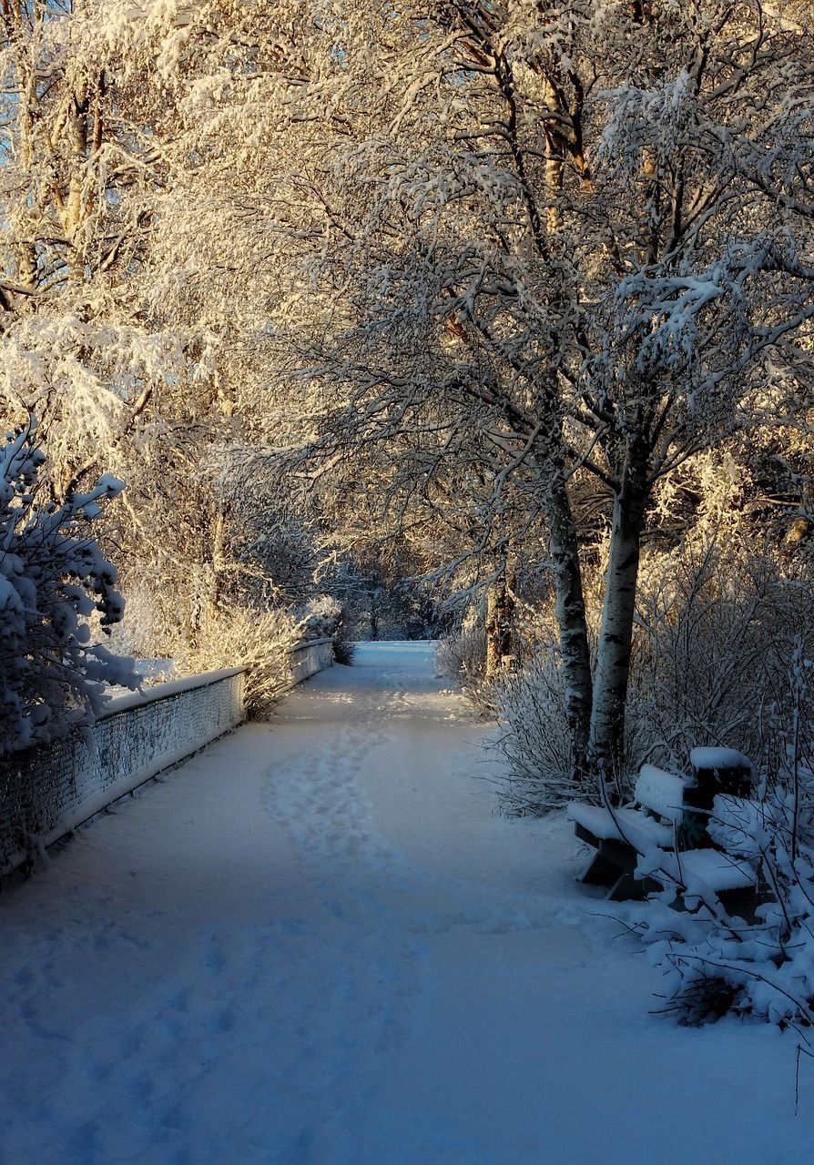 894x1280 Oulu Finland Park
