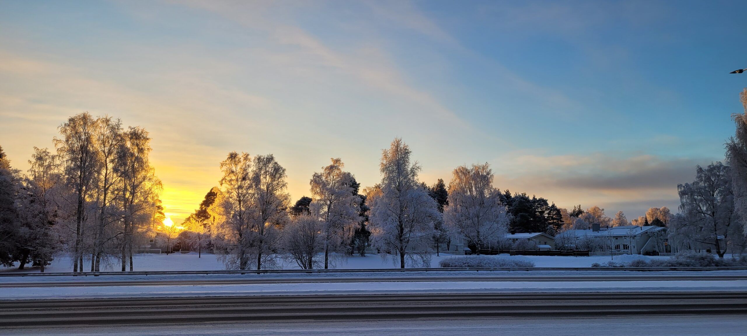2560x1153 Job Shadowing In Oulu (Finland)