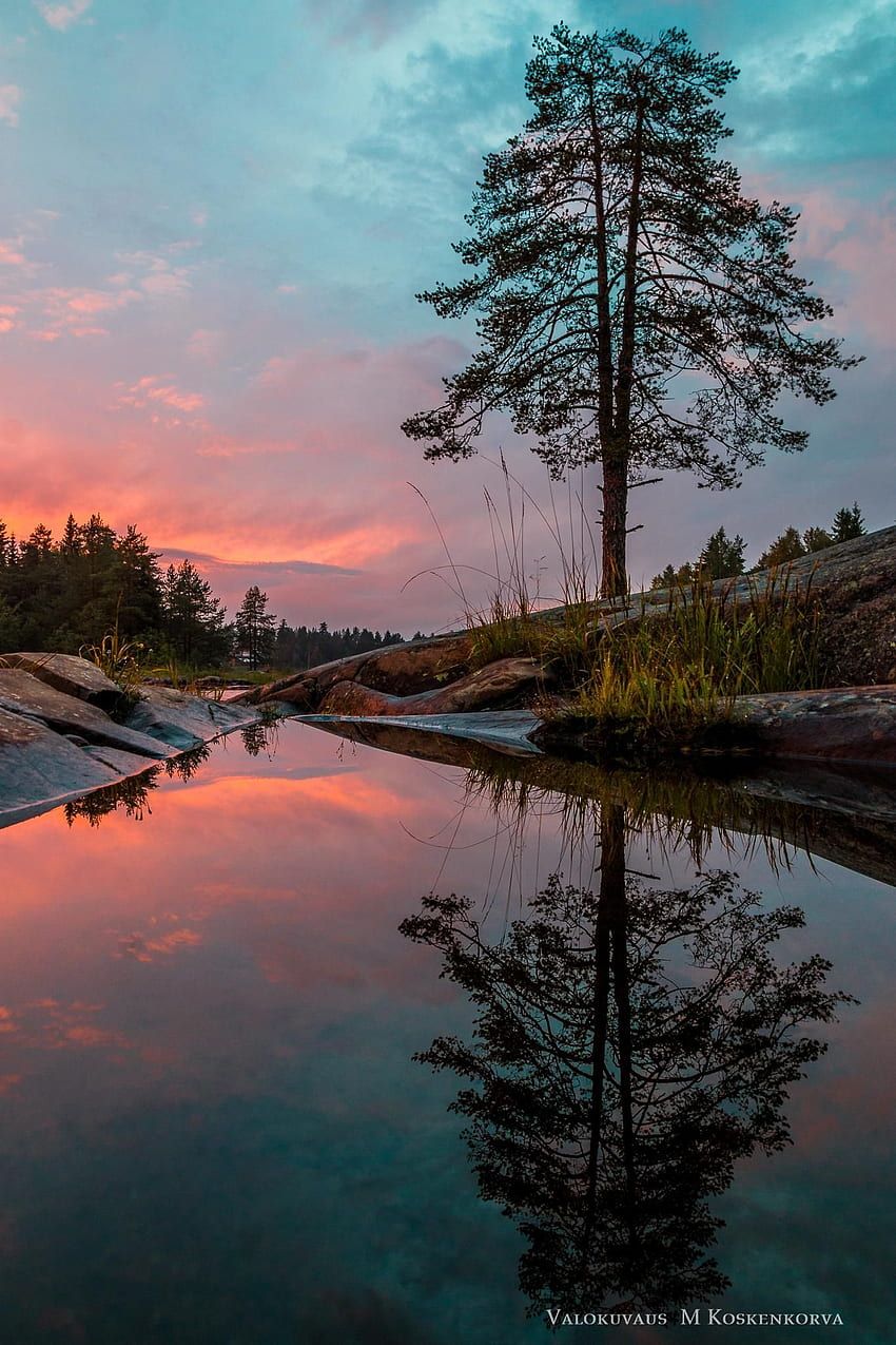 850x1275 Reflection. Koitelinkosket, Oulu, Finland [1365×2048][OC] HD phone wallpaper