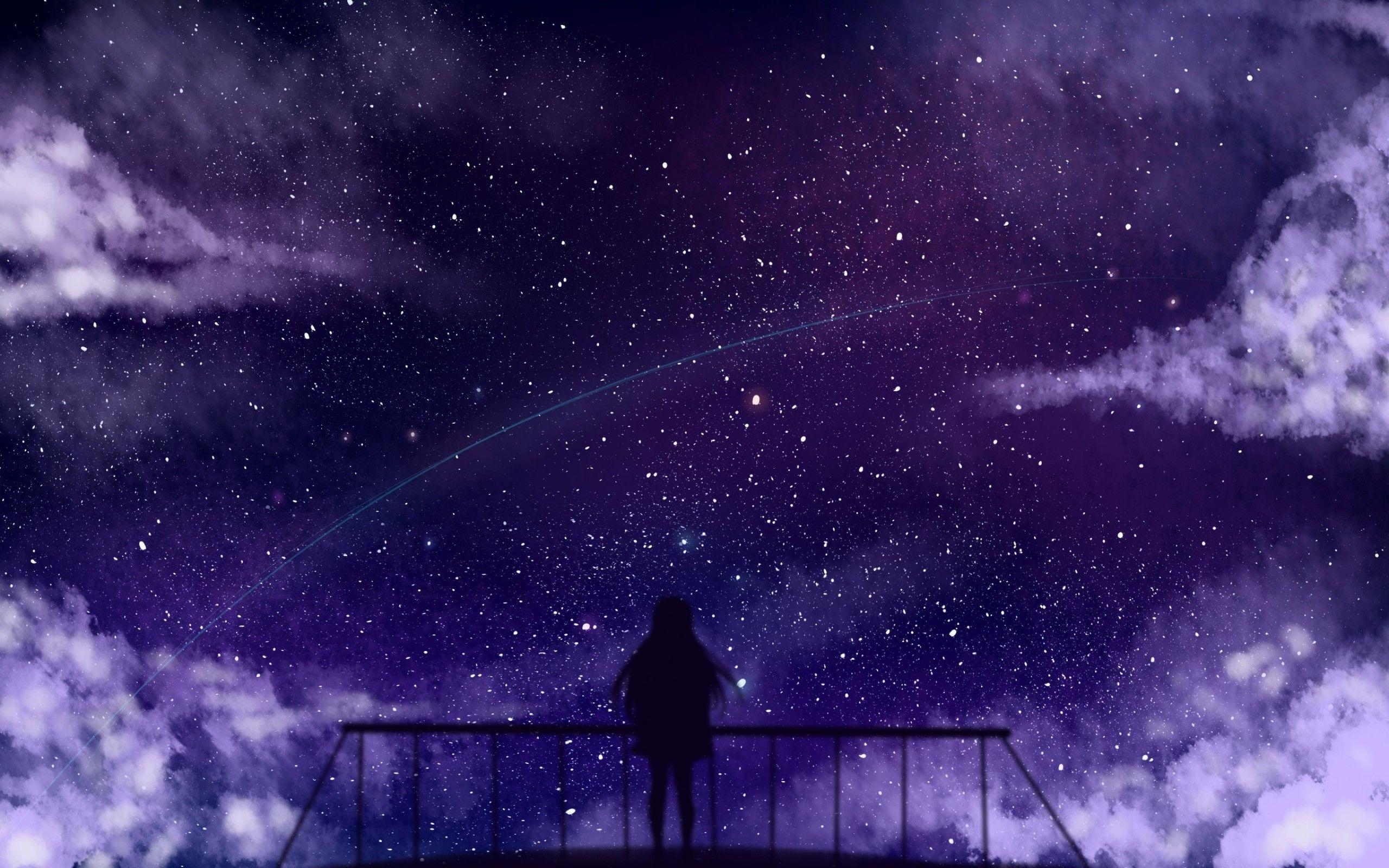2560x1600 Download 2560x1600 Anime Girl, Silhouette, Stars, Falling Star