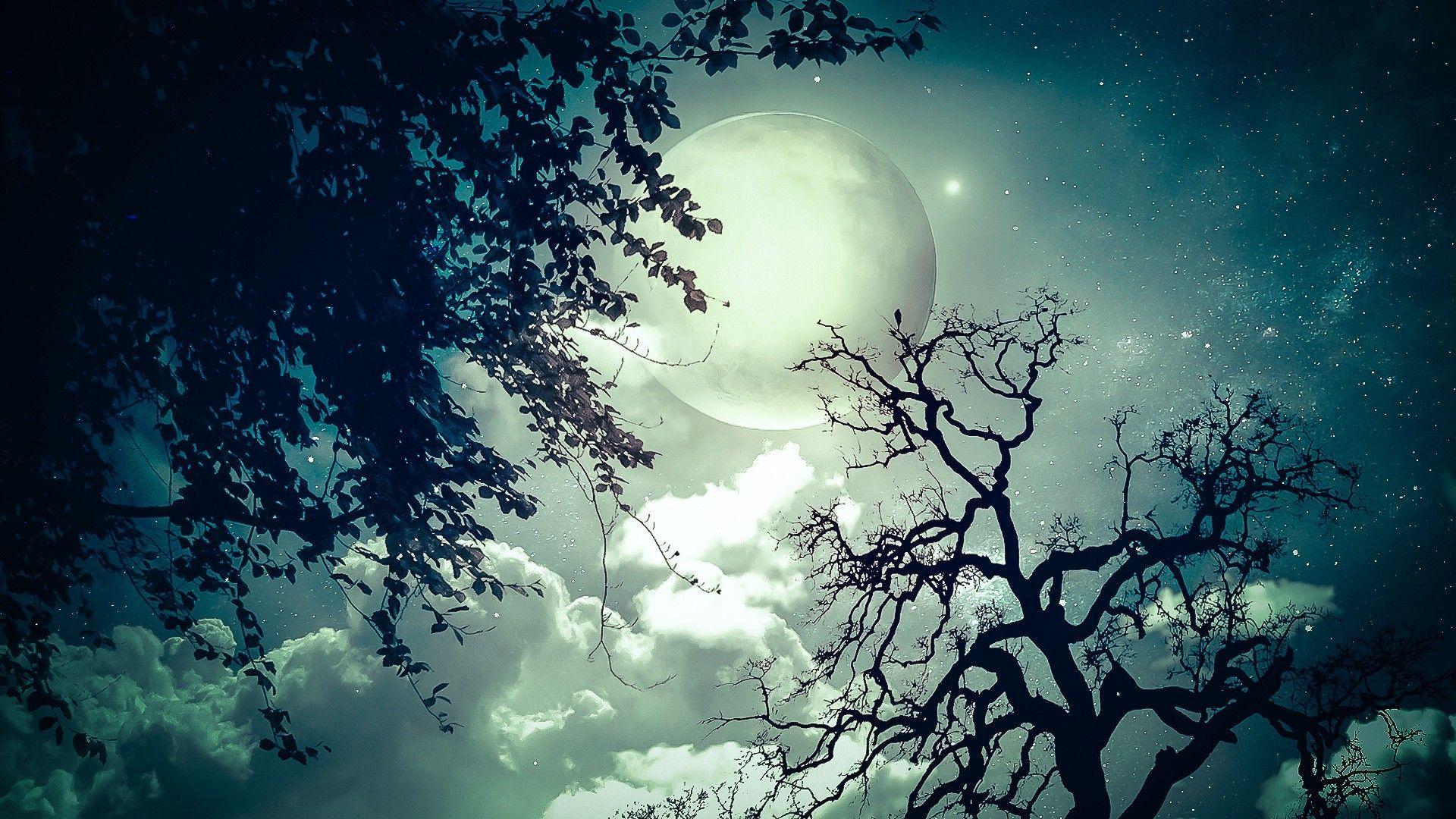 1920x1080 Trees, Stock Image, Macbook, Stars, HD Image, Clouds, moon, blue