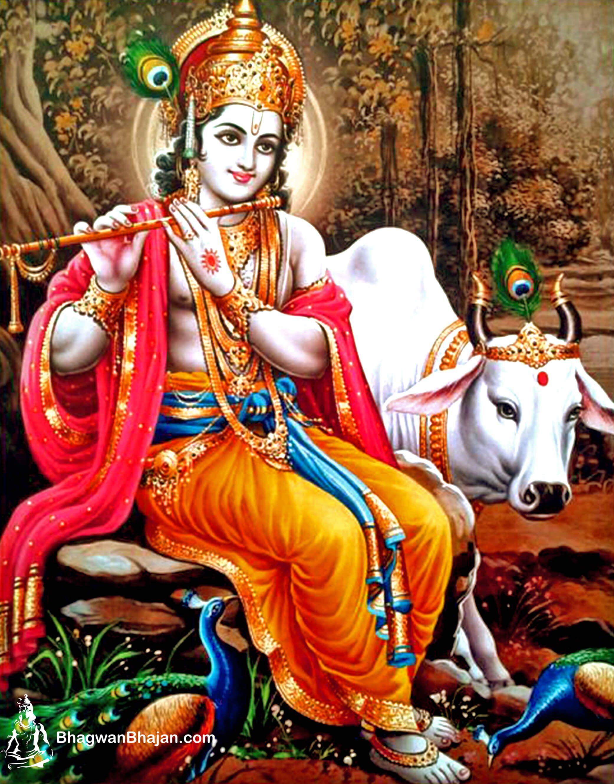 Shri Krishna Wallpapers Top Free Shri Krishna Backgrounds Wallpaperaccess