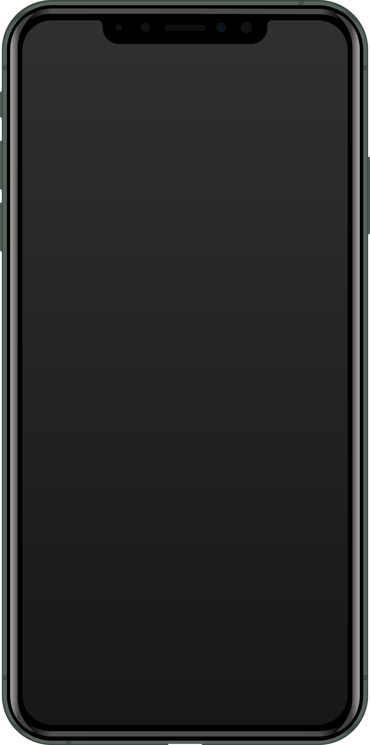 1200x2415 iPhone 11 Pro