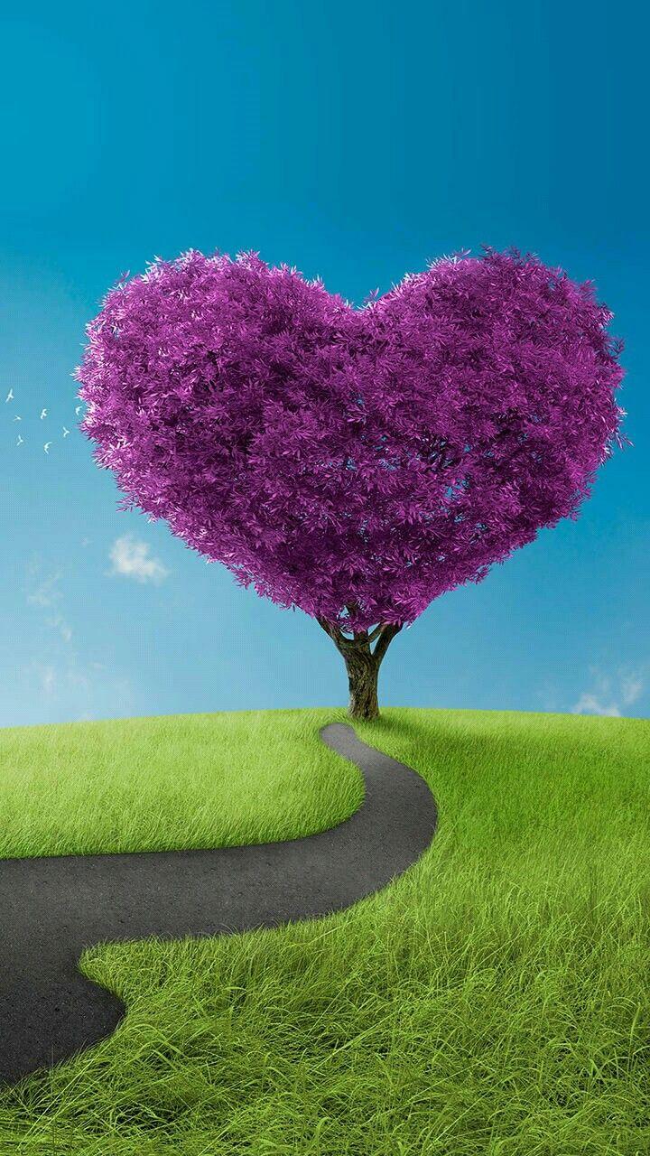 720x1280 A PATH THAT LEADS TO MY BIG PURPLE HEART !!!!