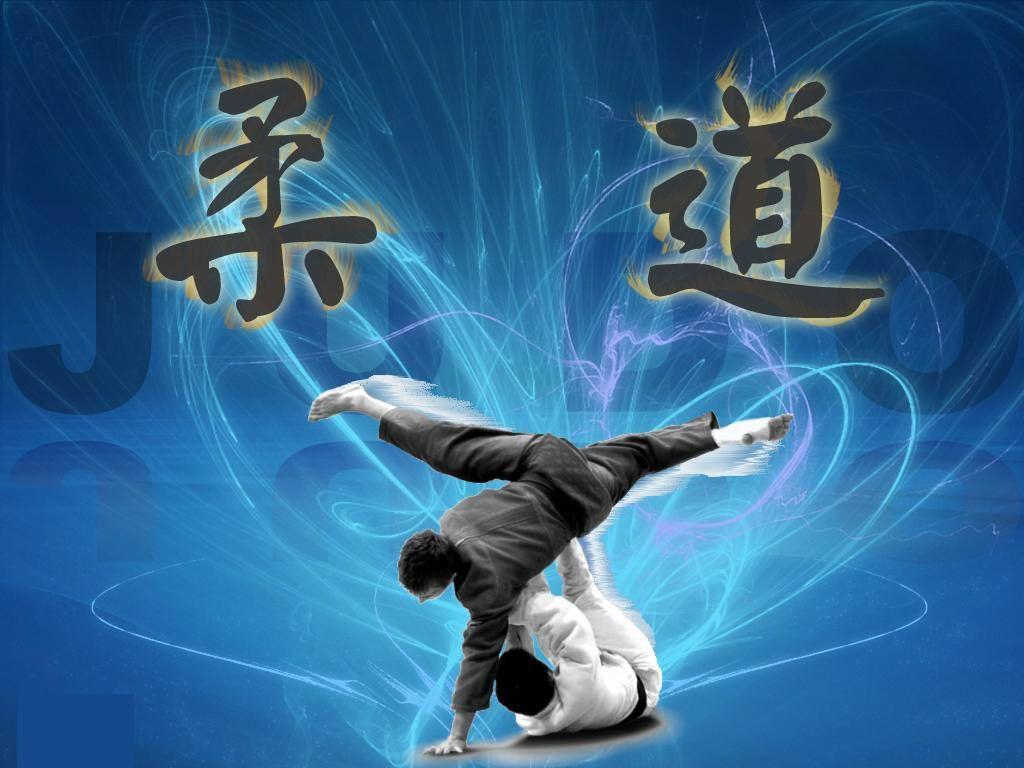 1024x768 Judo Wallpaper