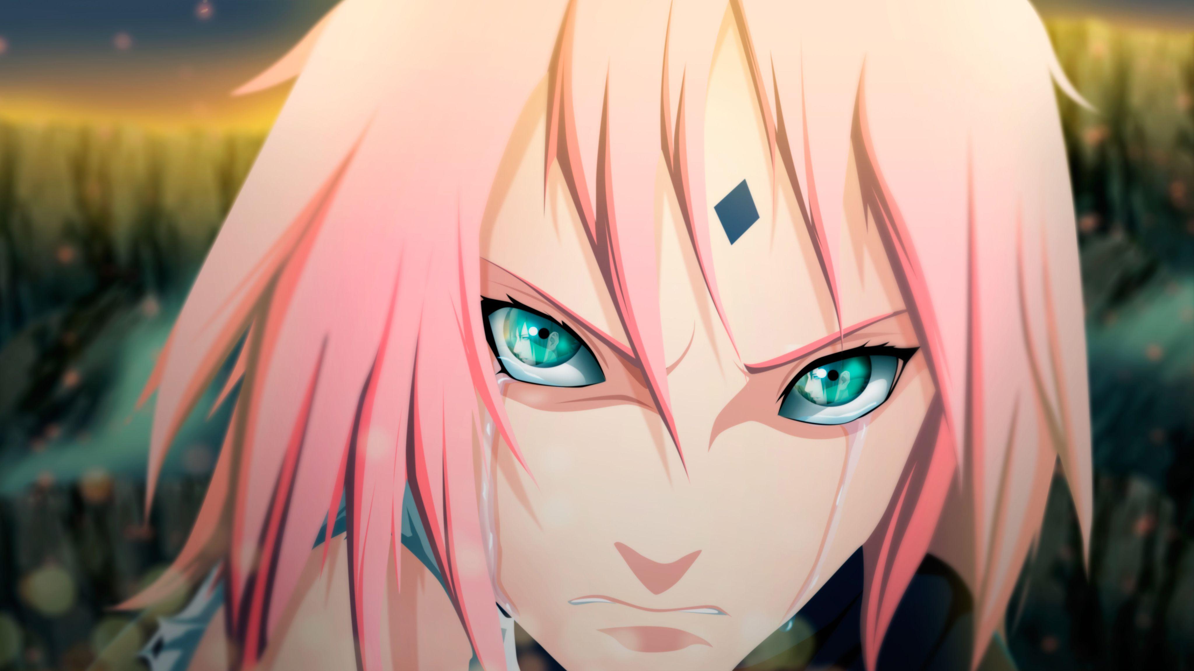 Sakura Haruno 4K Wallpapers - Top Free Sakura Haruno 4K Backgrounds - WallpaperAccess