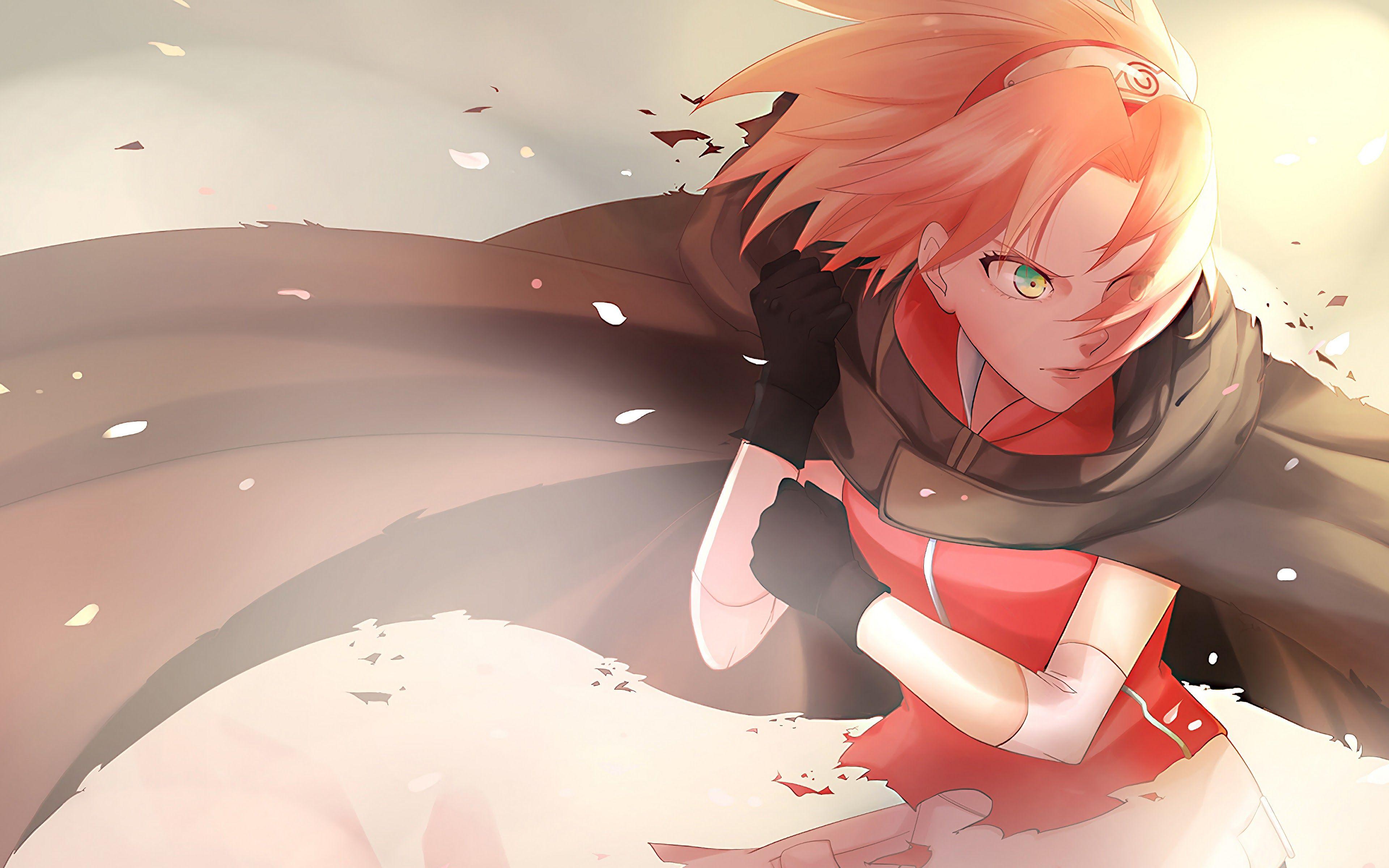 Sakura Haruno Wallpaper Aesthetic 8109