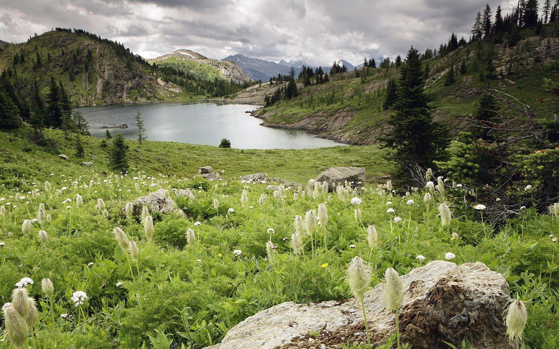 1920x1200 Photo - Canada Landscapes Wallpaper