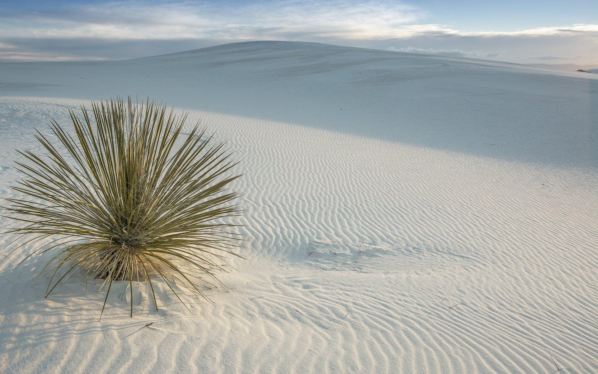 1920x1200 Download wallpaper desert, sand, sand dunes, USA, San Miguel, New