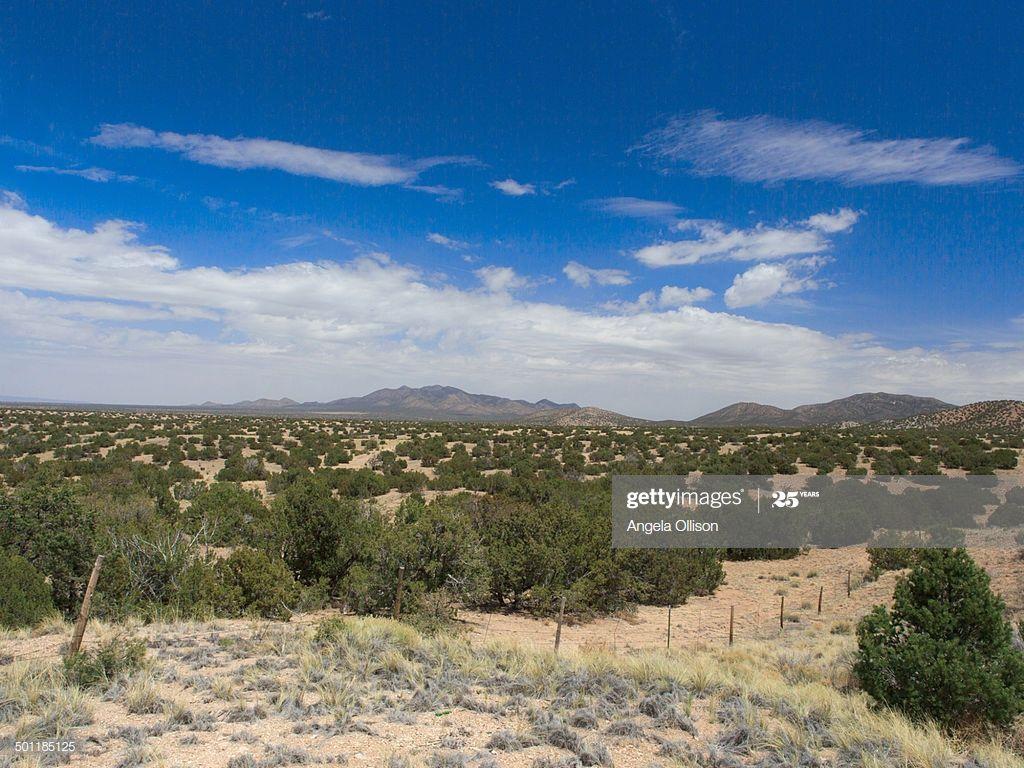 1024x768 New Mexico Desert Landscape High Res