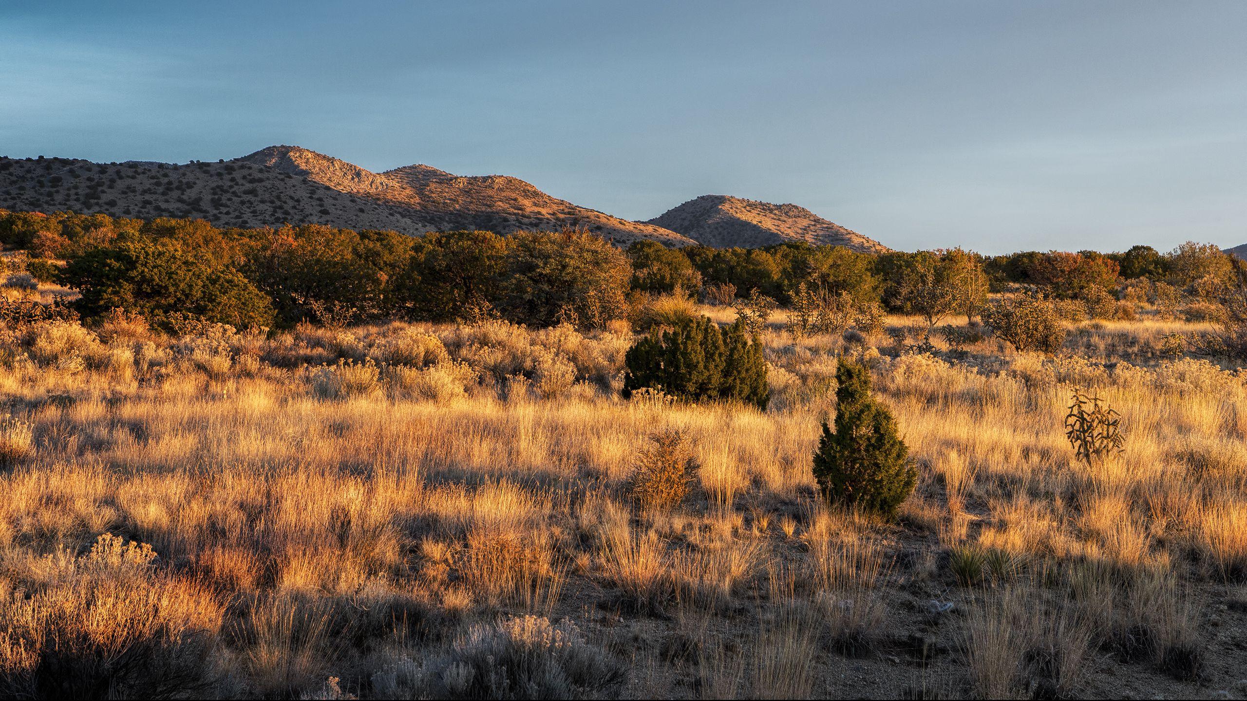 2560x1440 Elevation of Cedar Crest, NM, USA