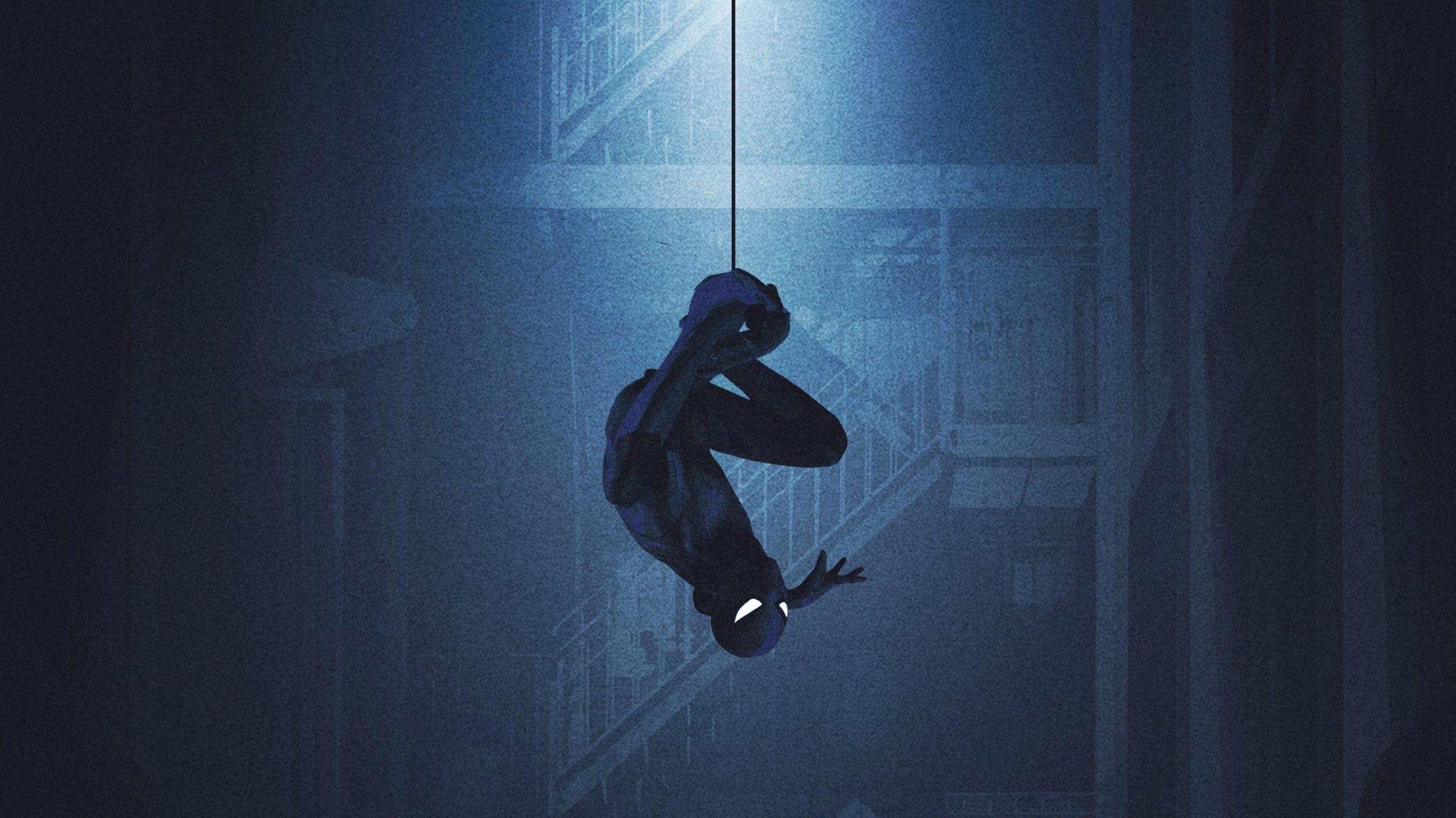 Spiderman Black Suit Logo Wallpapers Top Free Spiderman Black Suit Logo Backgrounds