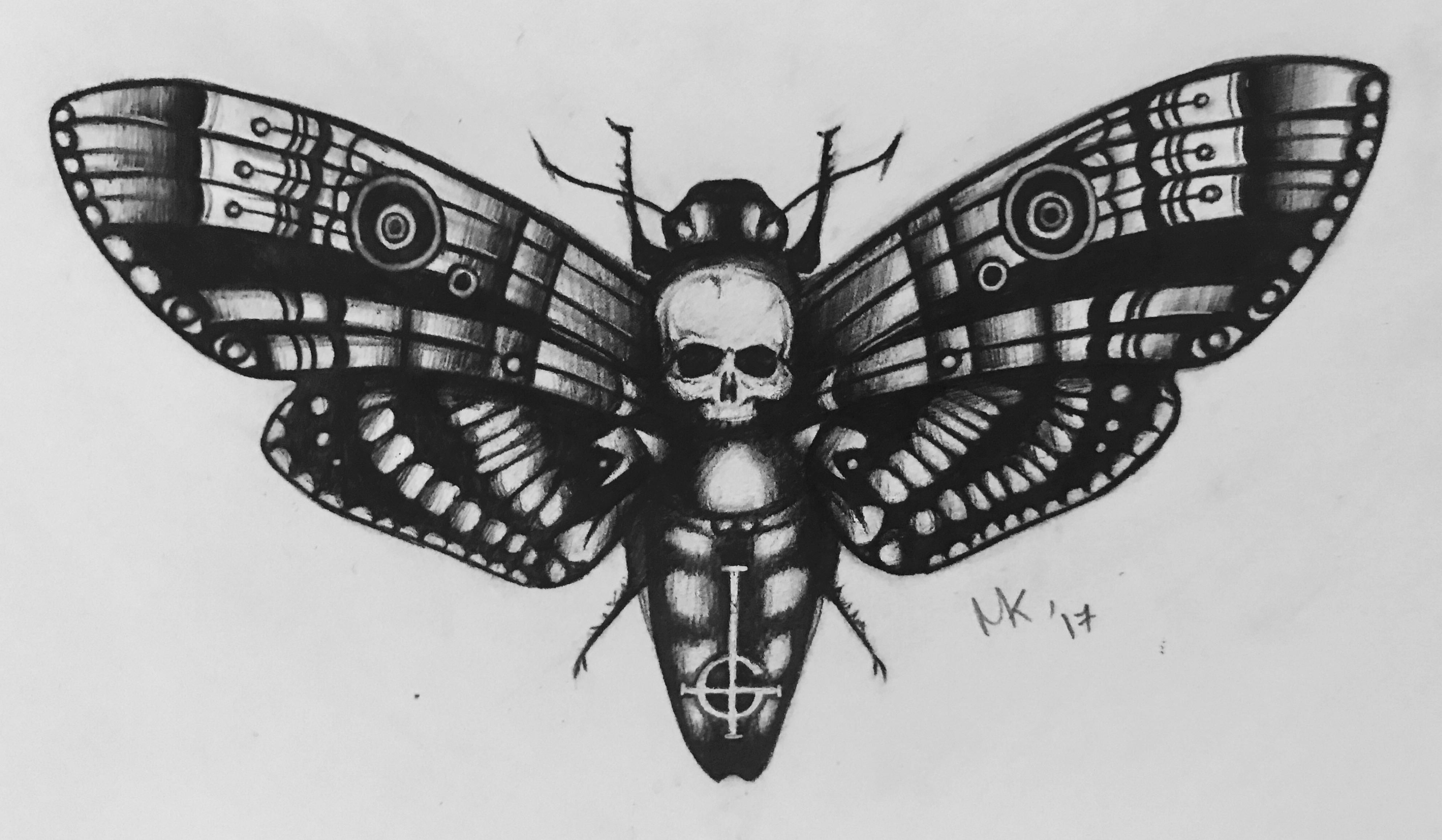 3970x2313 Moth Background HD Wallpaper 75243