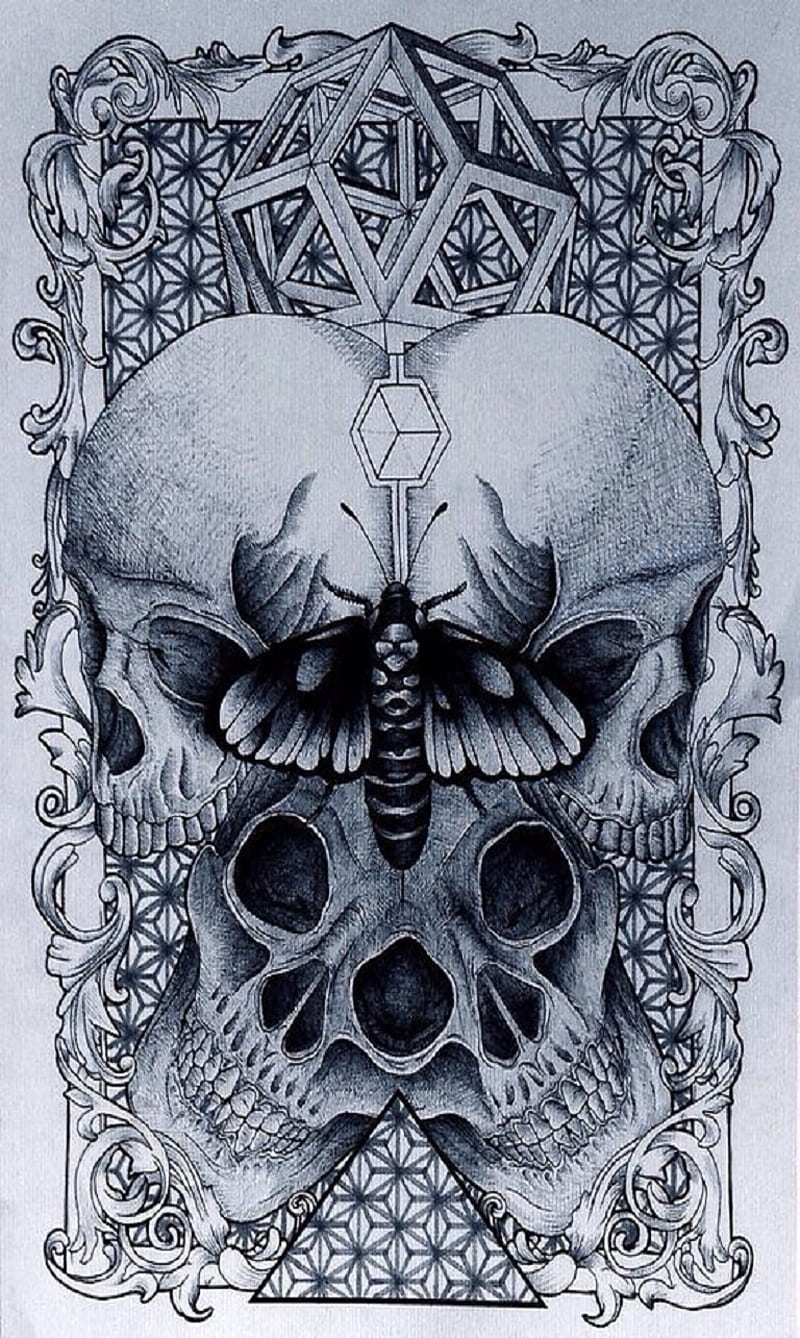 800x1338 HD skull moth wallpaper