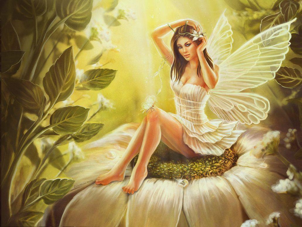 1031x774 HD Fairies Wallpaper Free Mobile Dwnld