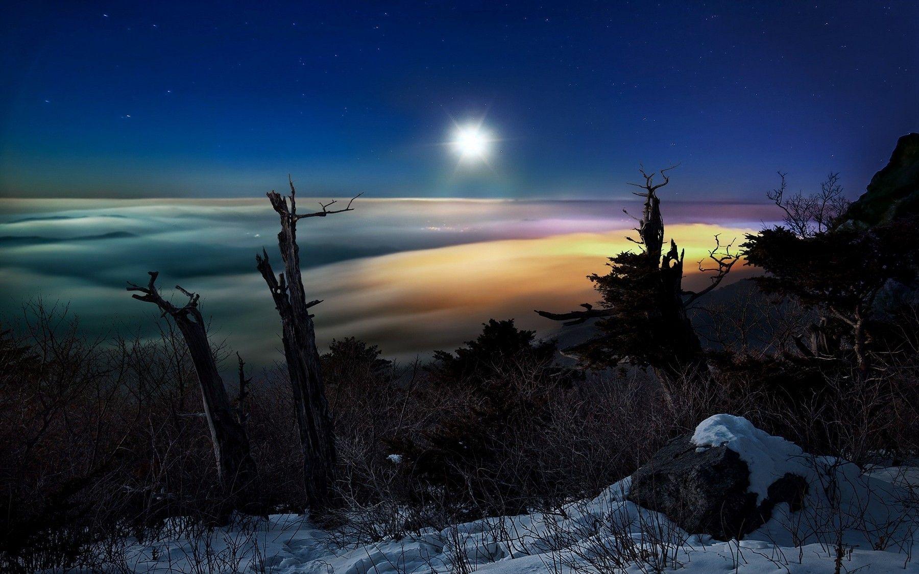 1800x1125 nature, Landscape, Winter, Snow, Clouds, Shrubs, Moon, Stars, Trees, Moonlight, Dead Trees, South Korea Wallpaper HD / Desktop and Mobile Background
