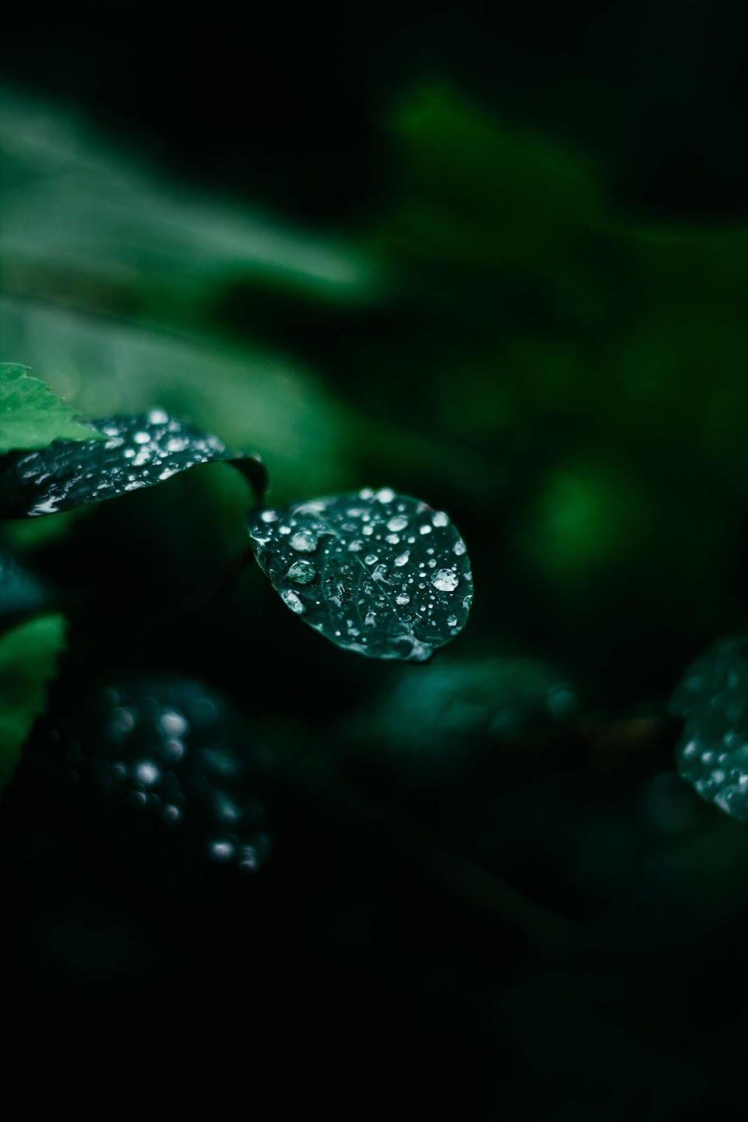 1067x1600 Wallpaper Collection For Realme XT