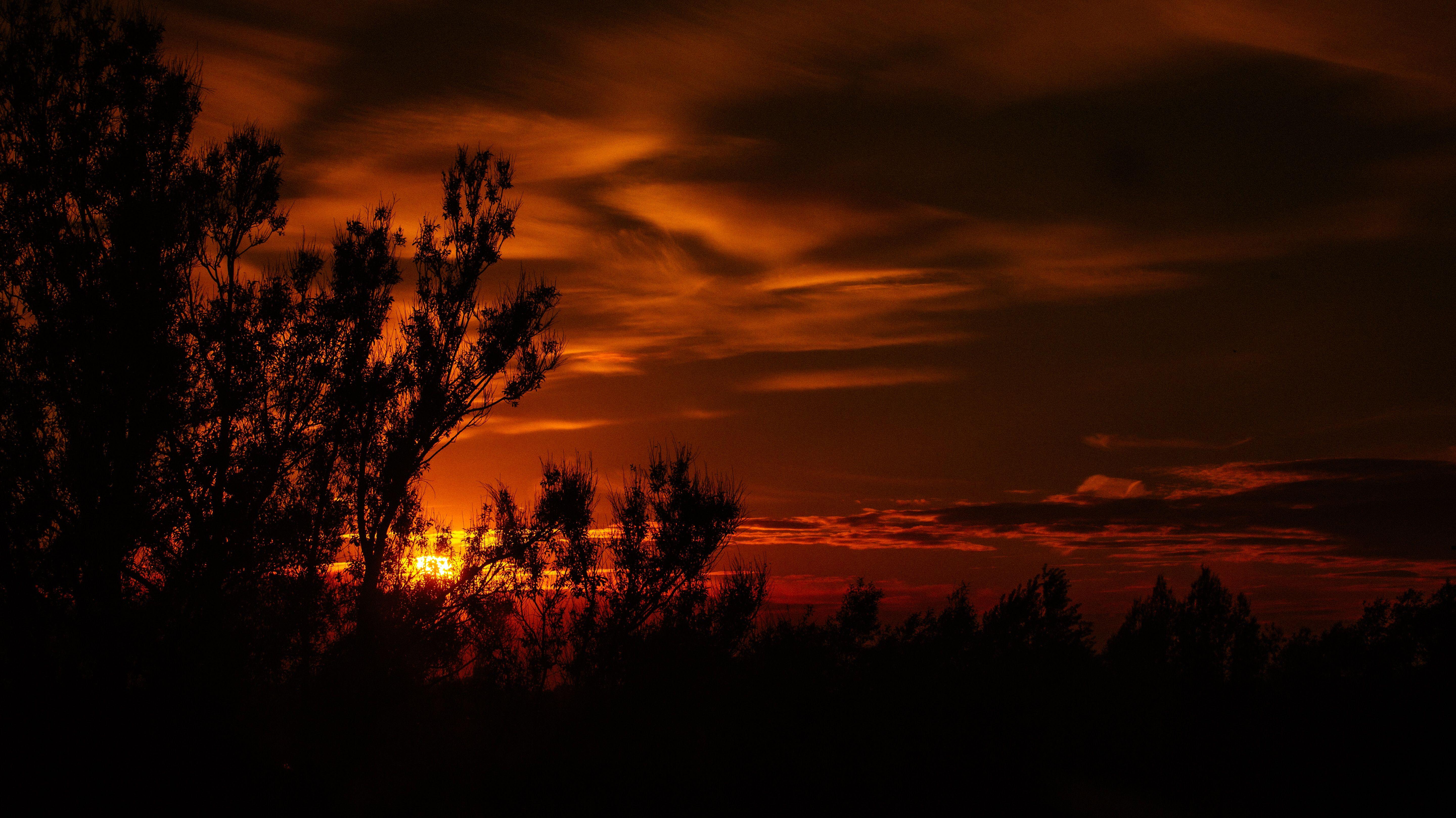 5760x3240 Download wallpaper 5760x3240 sunset, twilight, dark, trees
